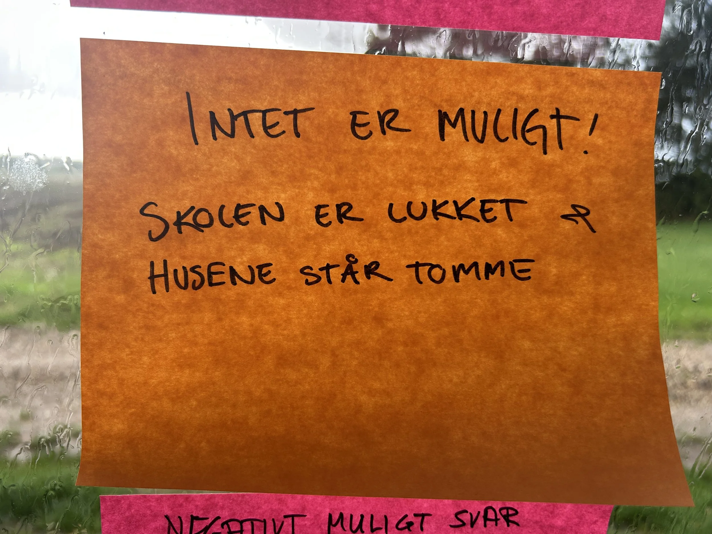 IMG_6835.jpeg