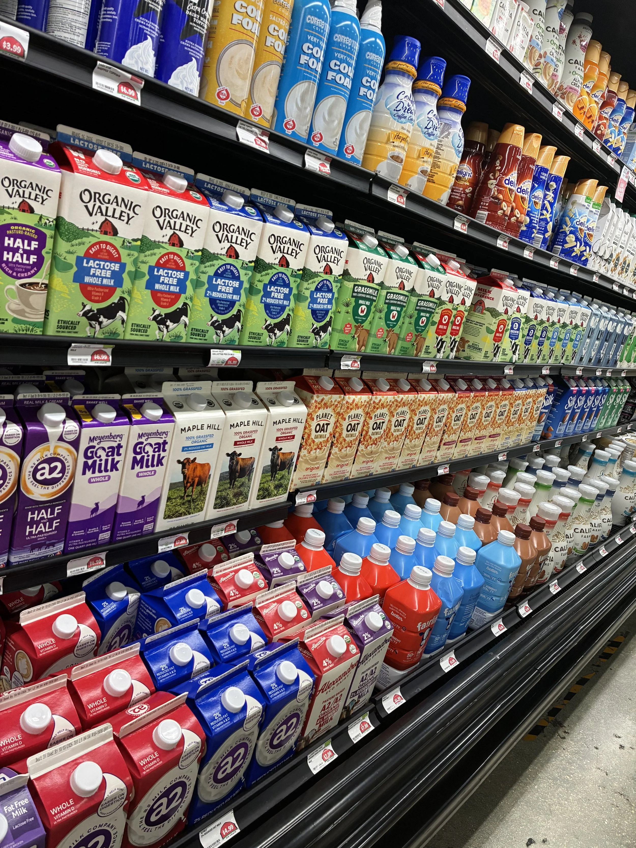 "Udder Nonsense: Lets talk all things milk!"