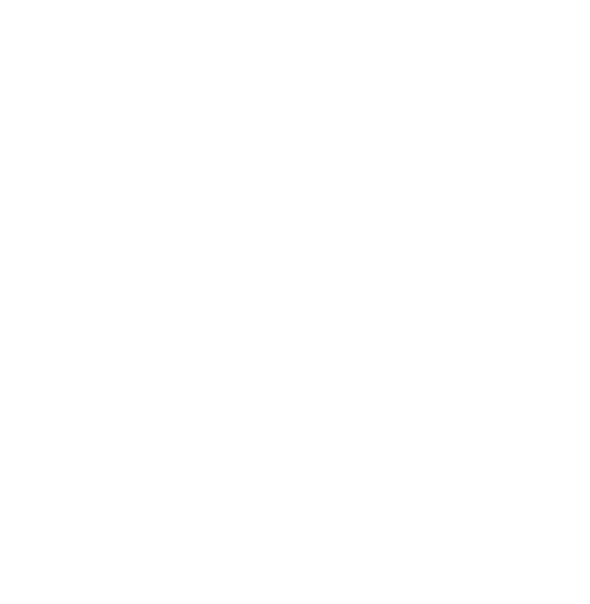 SPOTIFY PLAYLISTING CAMPAIGN