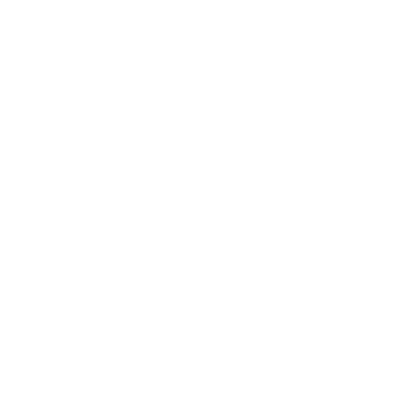 RADIO CAMPAIGN