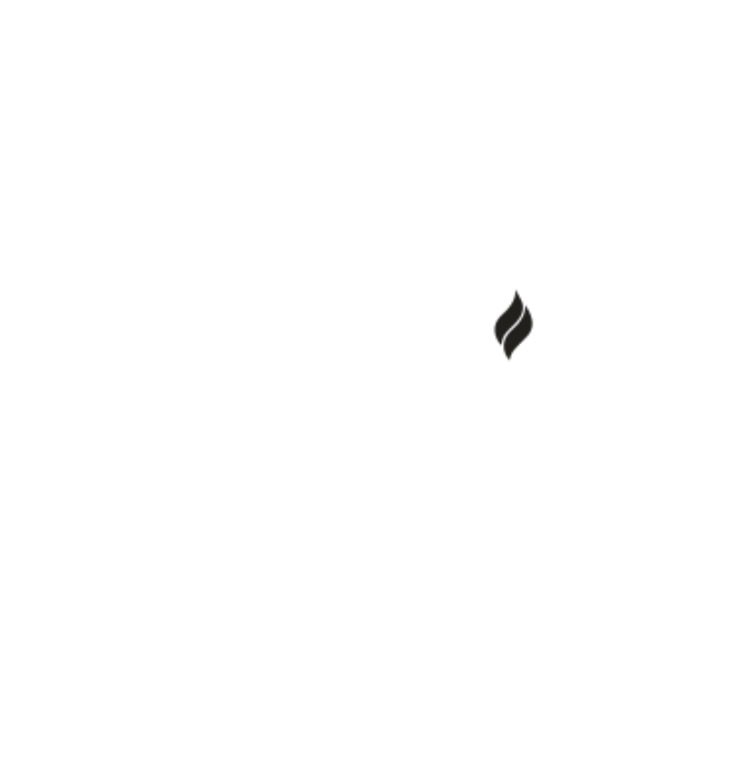 HOT PRESS LOGO