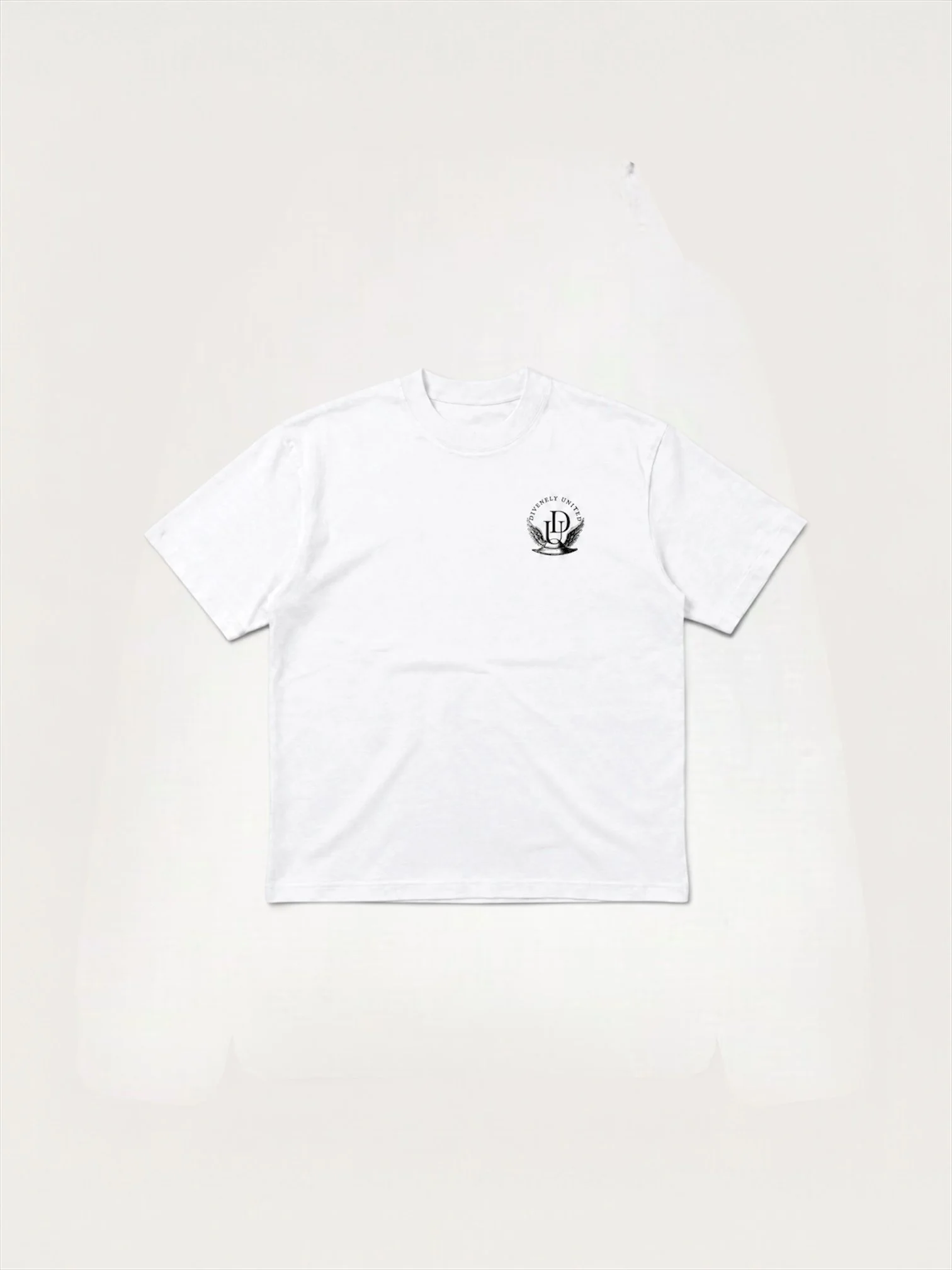 Signature Tee- White DIVENELY UNITED.JPG