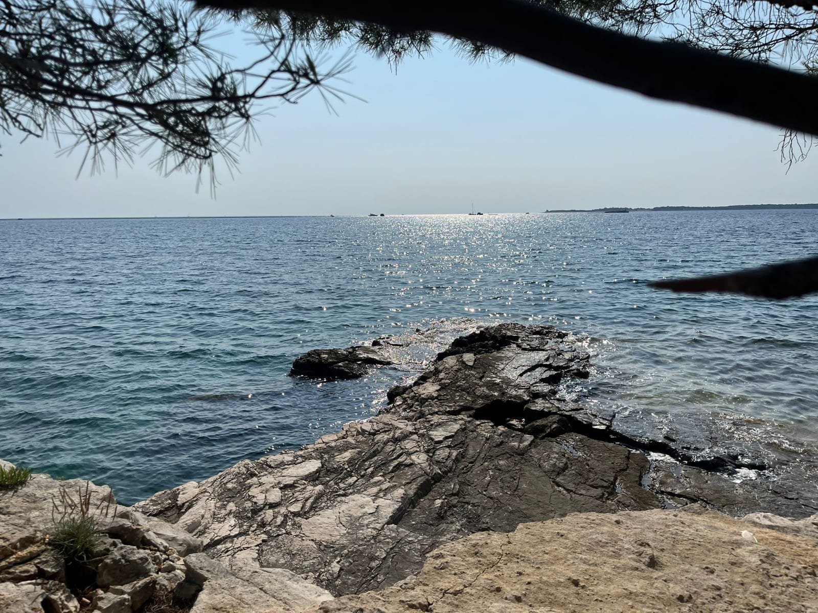 Adriatic beach with natural shoreline, clear water, and coastal landscape.