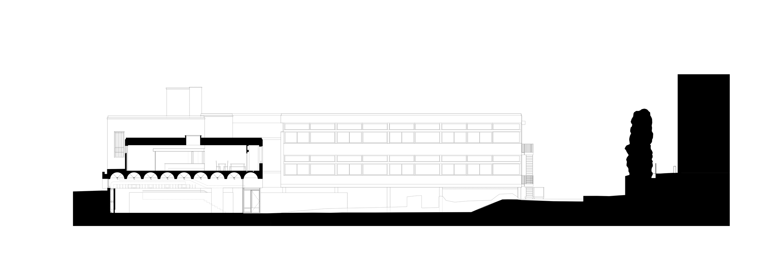 jewry-wall-levitate-conservation-section.png