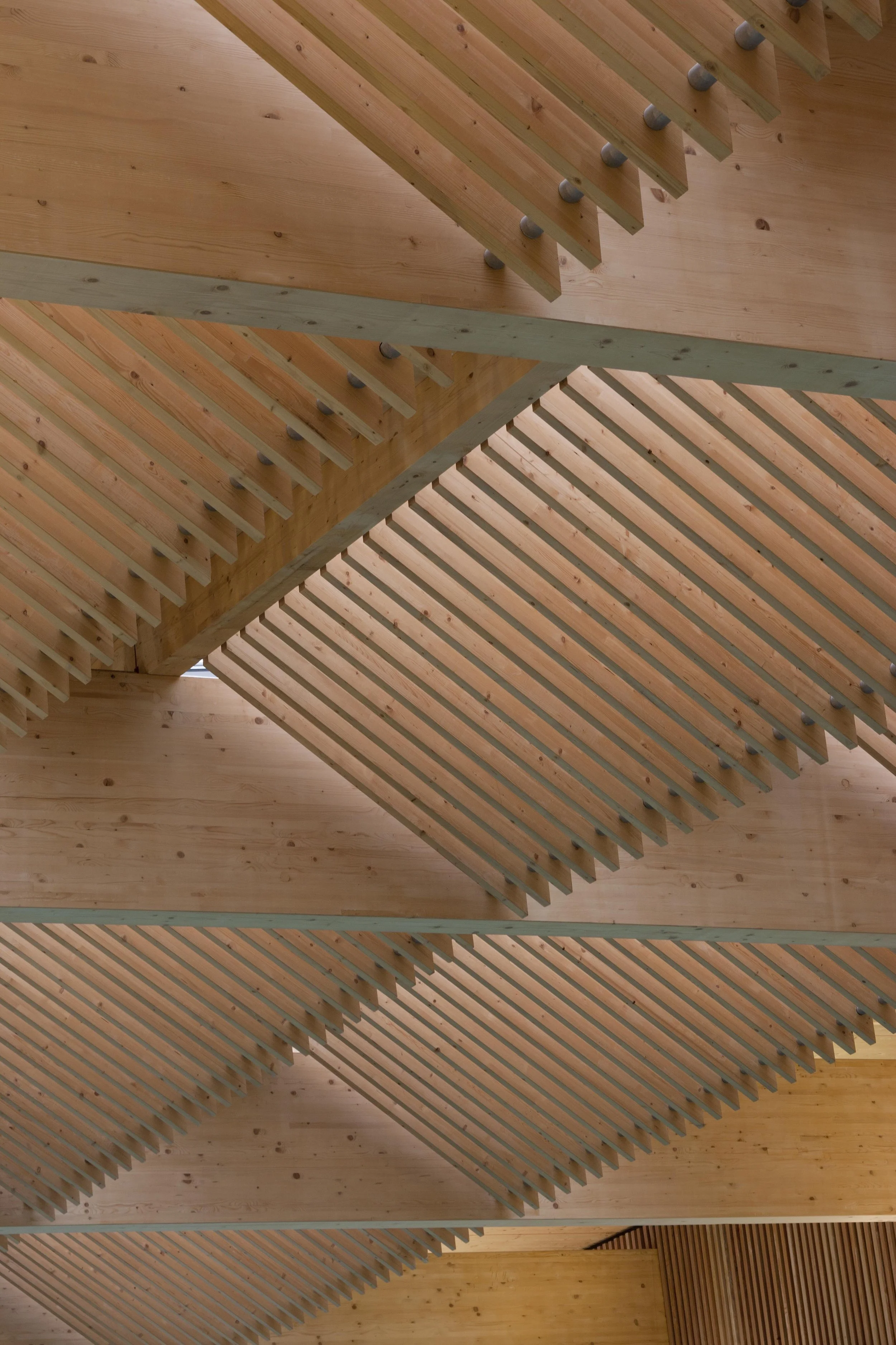Levitate Architects' Victoria Leisure Centre: An abstract, close-up geometric view of the natural timber acoustic baffles and glulam beams framing the ceiling skylights.