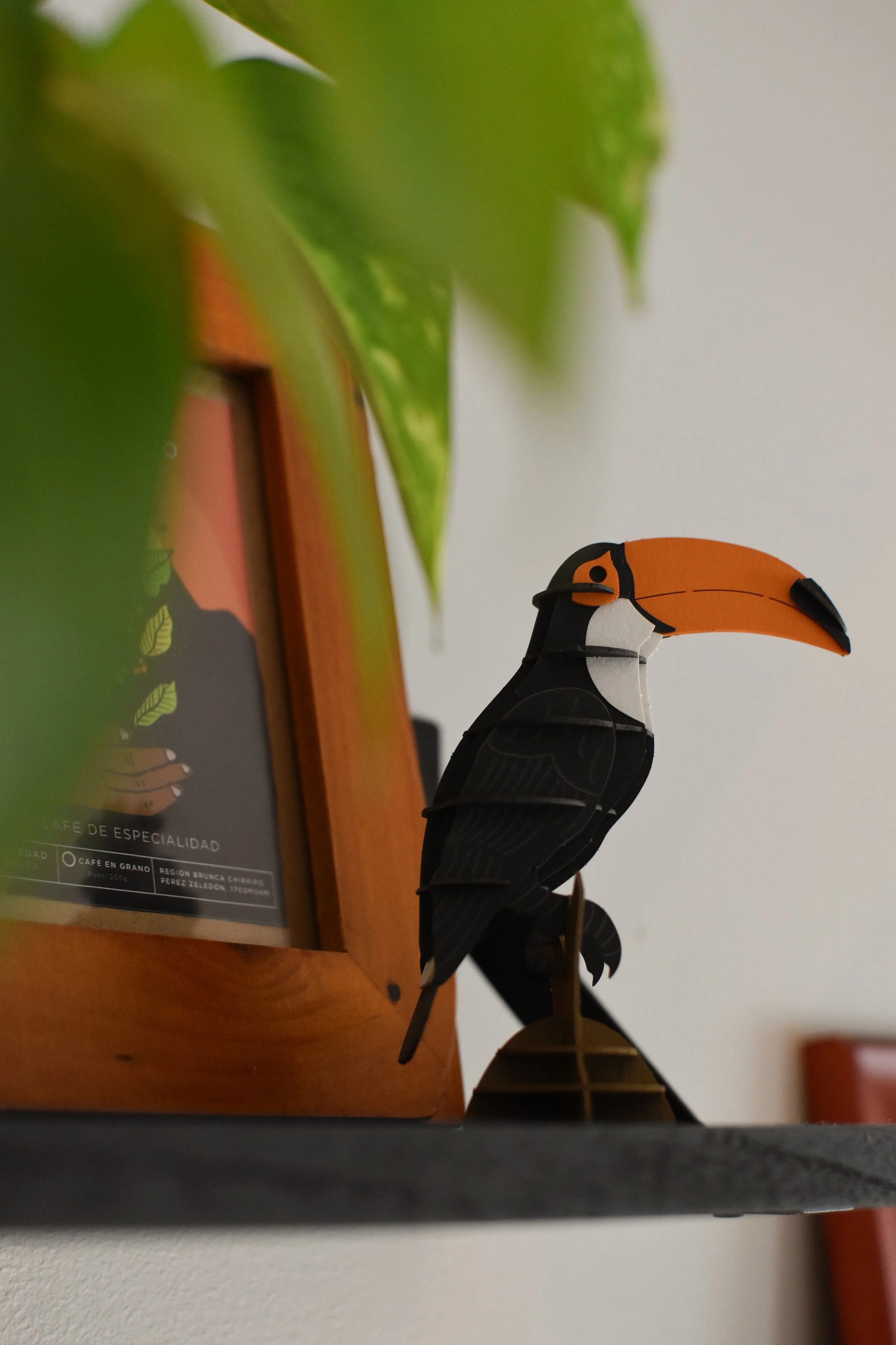 DSC_0770.jpg