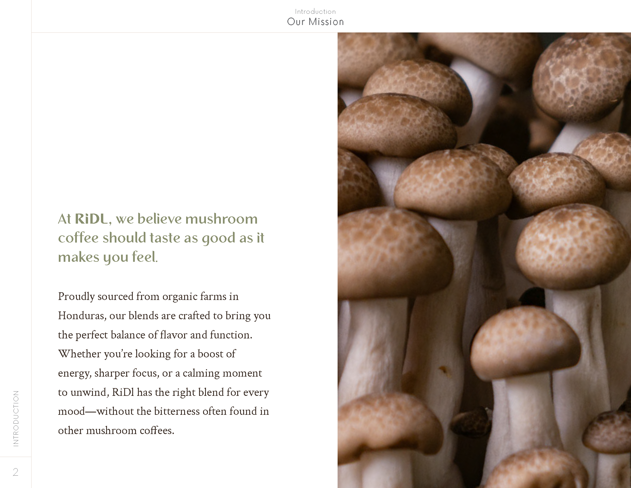 Brand Guide_Final_Page_02.png