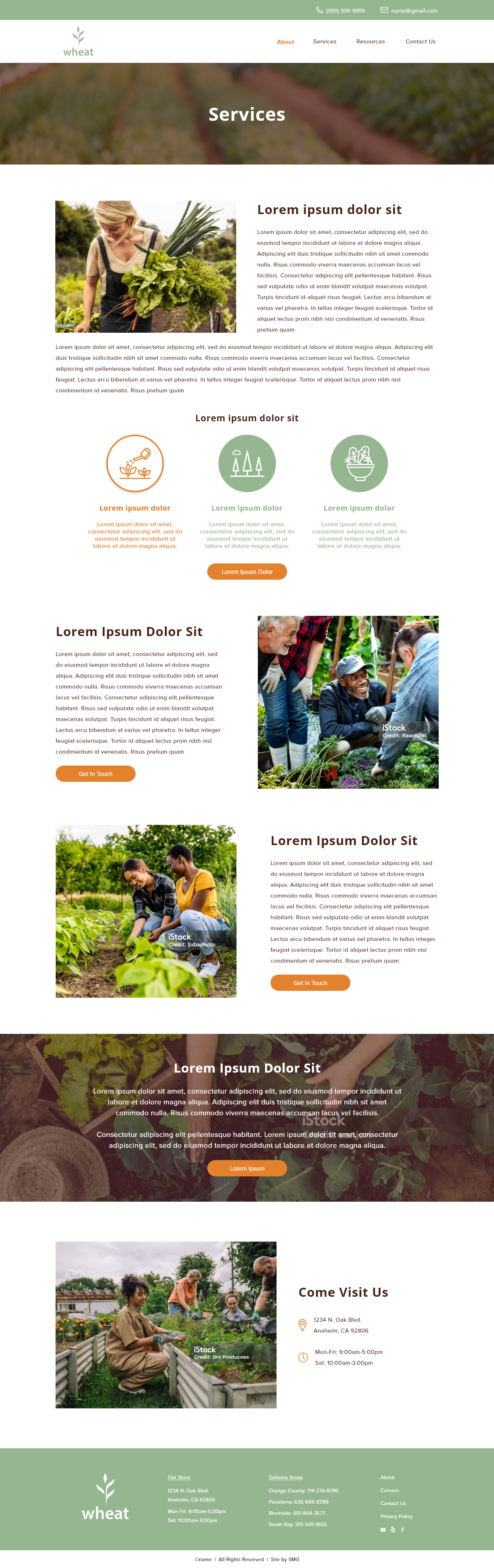 Green Sprout_Services.png