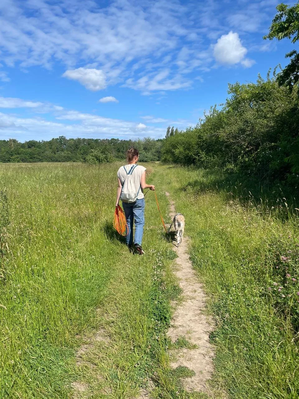 Rebekka Fuchs, Hundetrainerin in Leipzig, geht mit einem Hund auf einem Trampelpfad durch eine grüne Wiese.