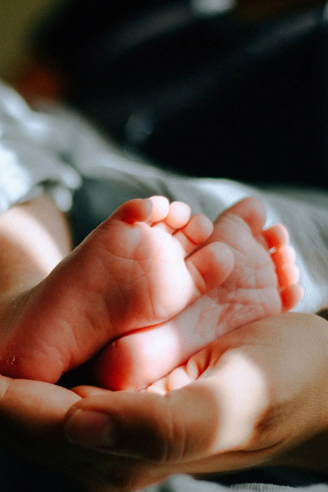 Close-up of a parent's hand holding a baby's tiny foot.