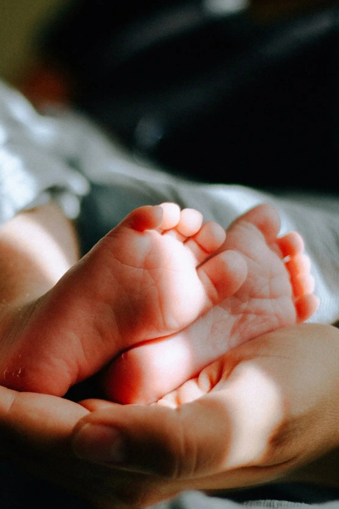 Close-up of a baby's tiny hand gripping an adult's finger.