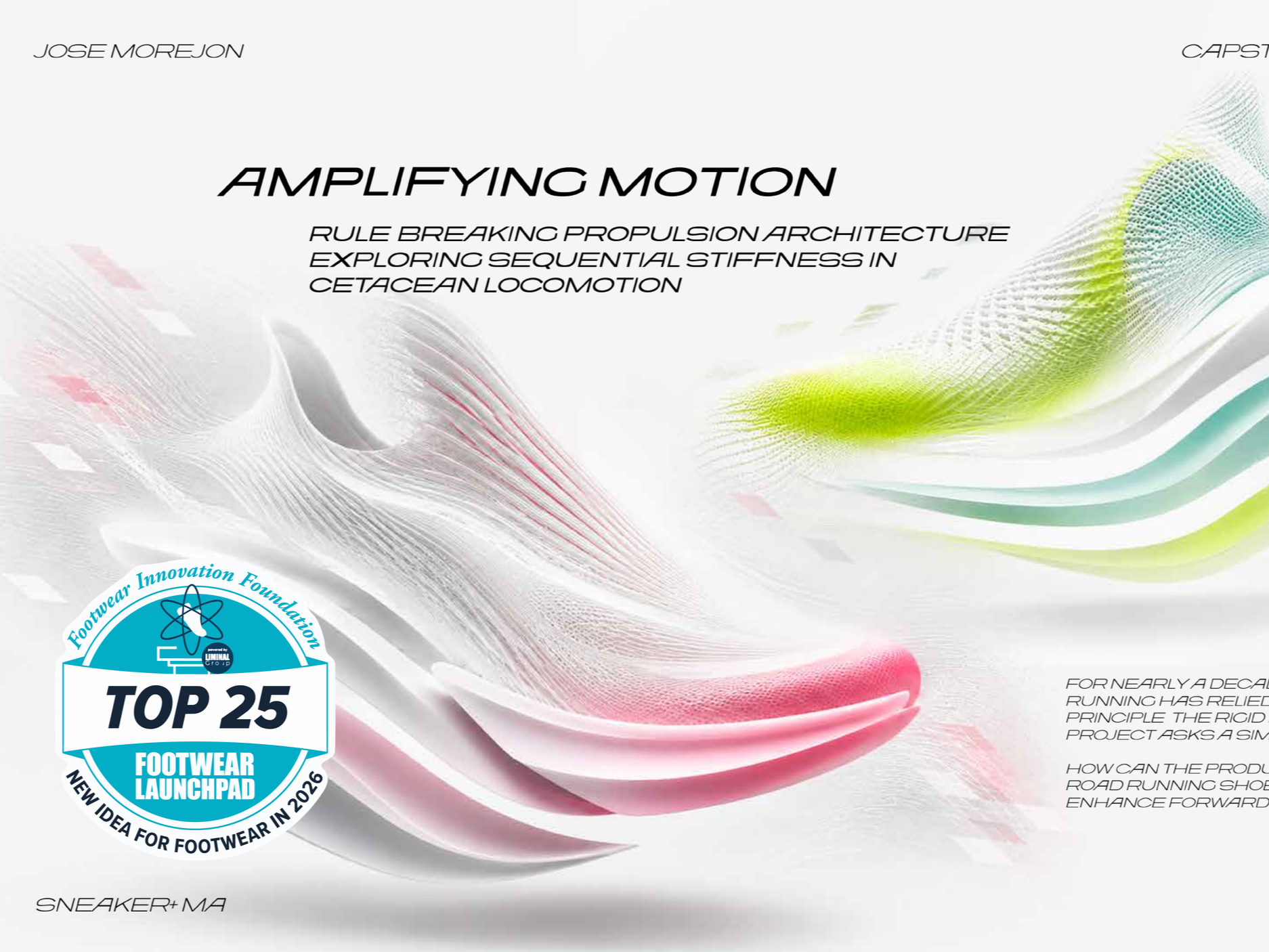 Amplifying Motion