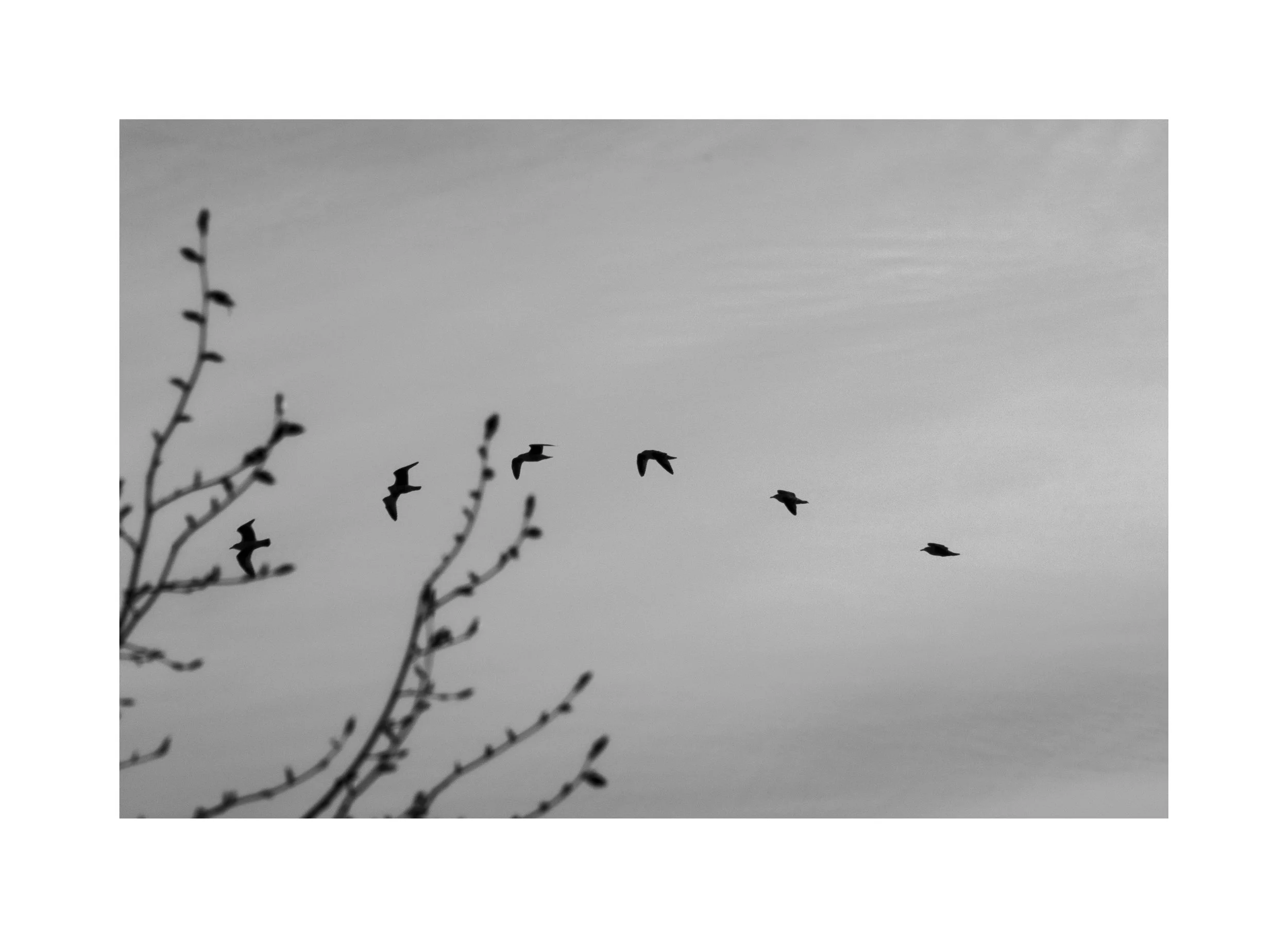 trail 5 minimum copy border.jpg