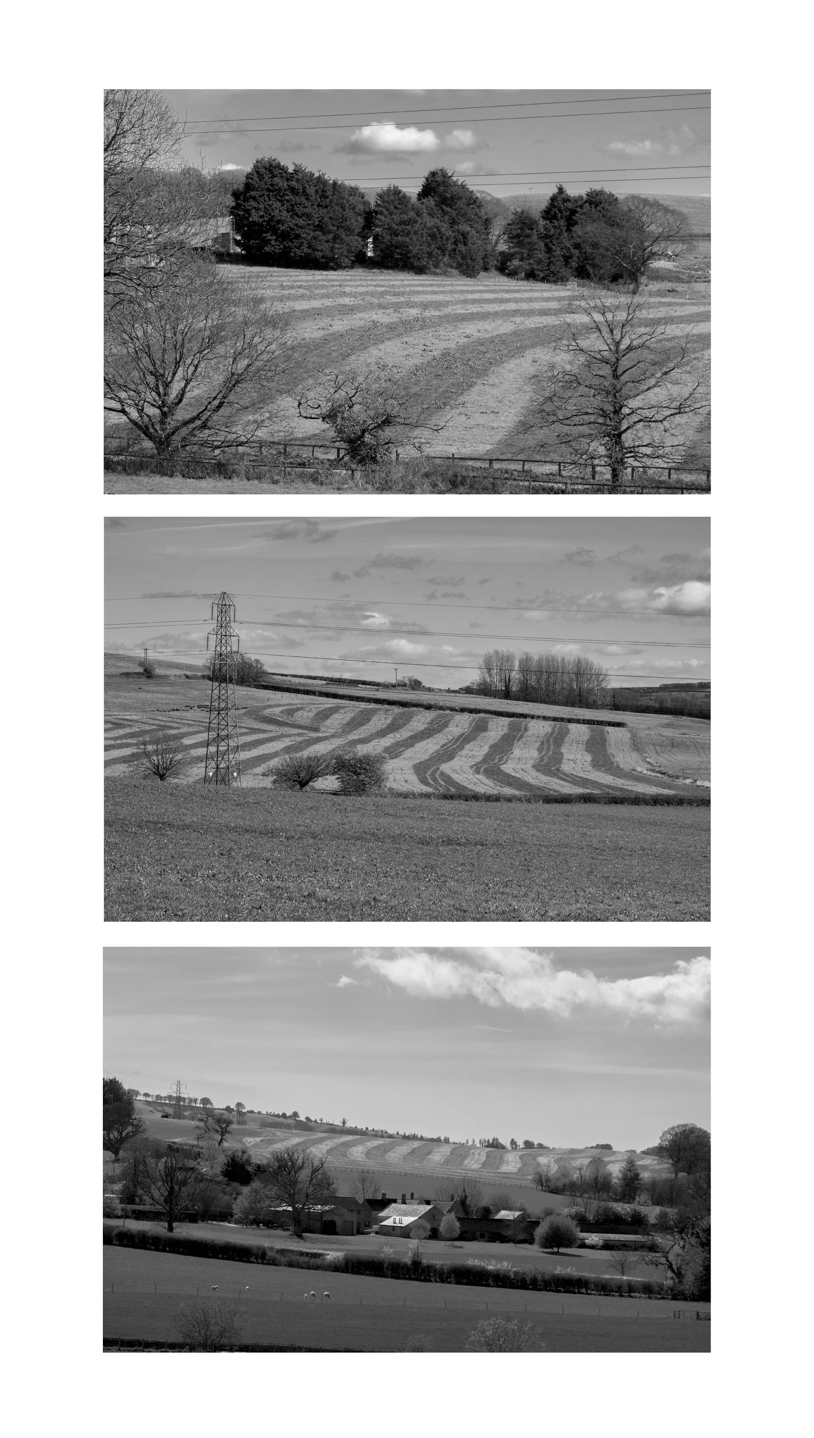 grid 9 copy.jpg