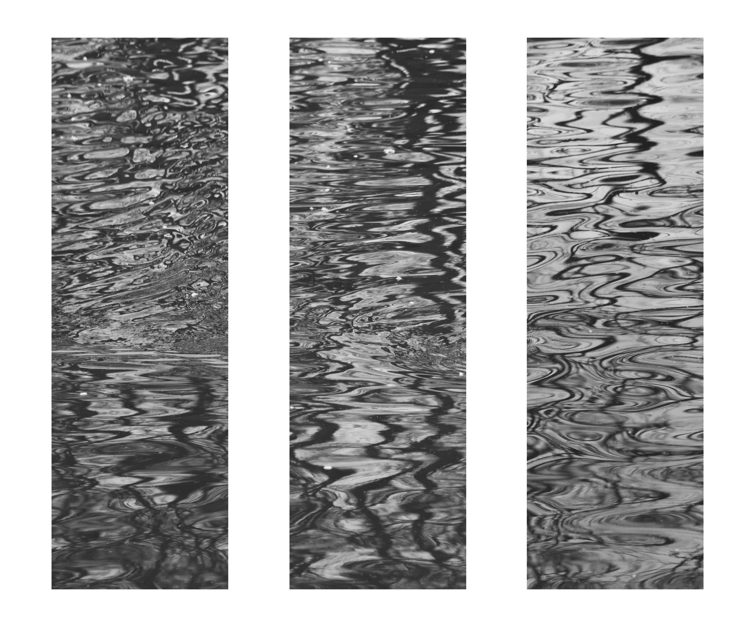 IMG_4340 copy border copy.jpg