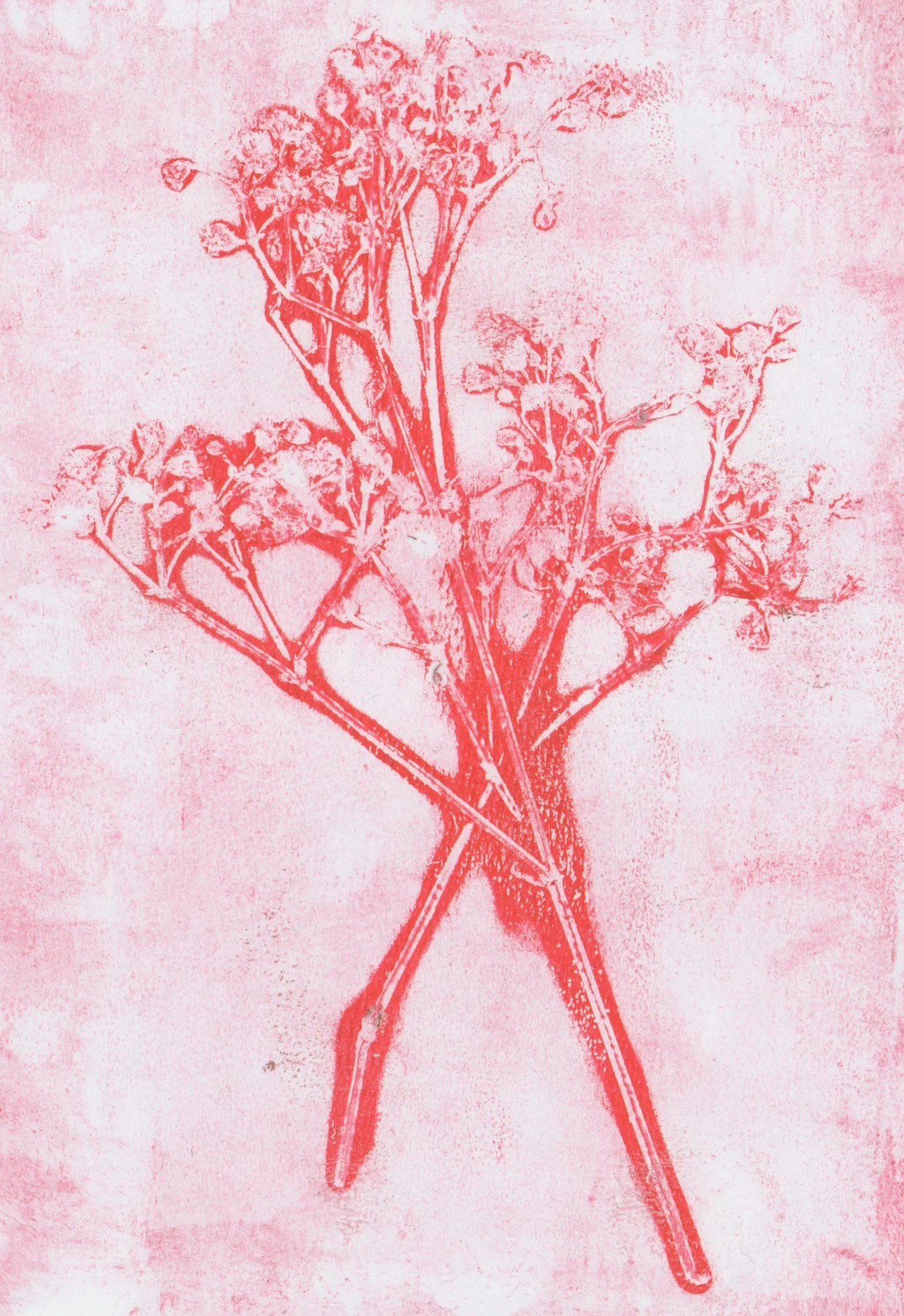 IMG_0020 crop.jpg