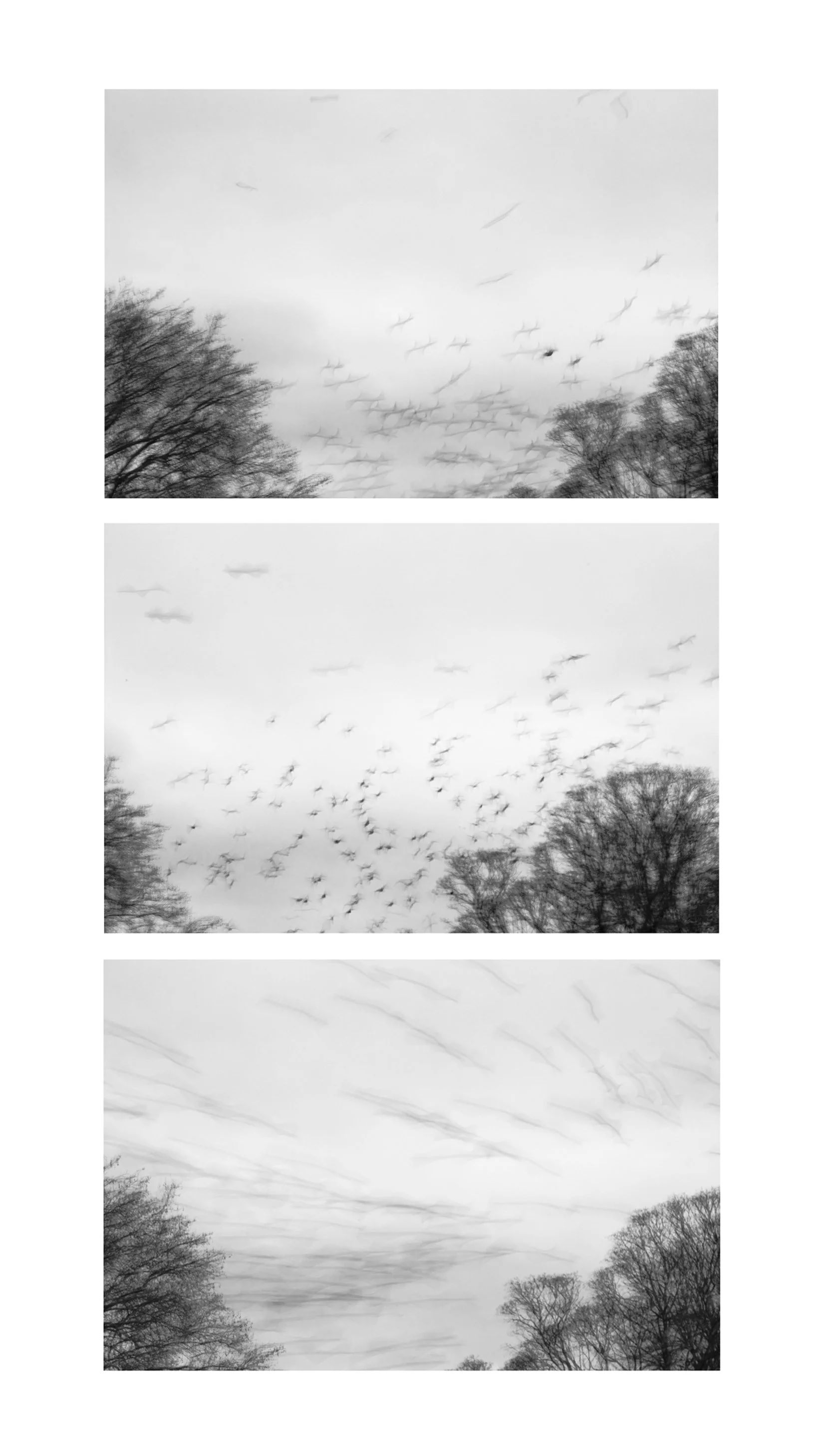 grid 7 copy.jpg