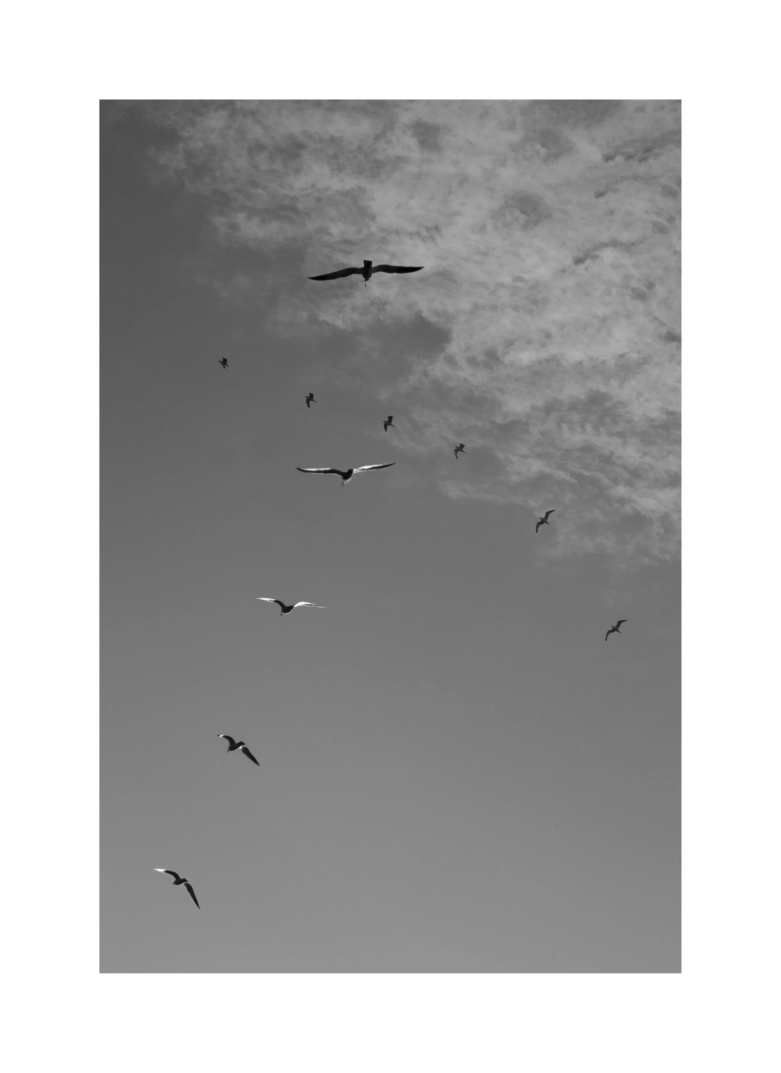 trail 6 minimum copy border.jpg