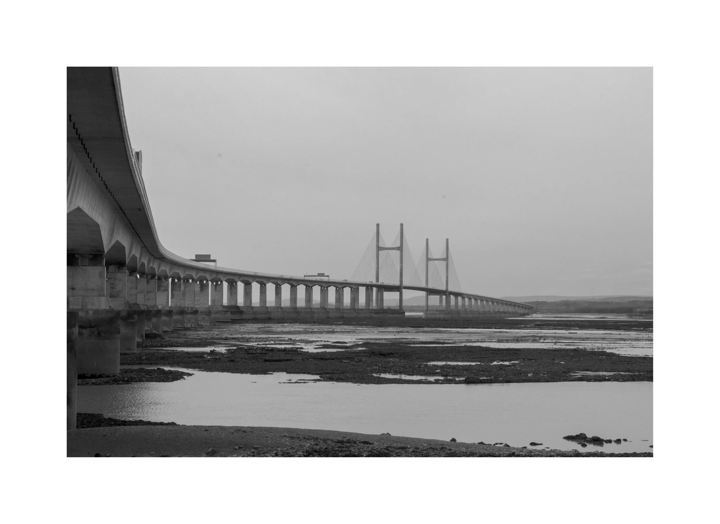 IMG_4009 copy border.jpg