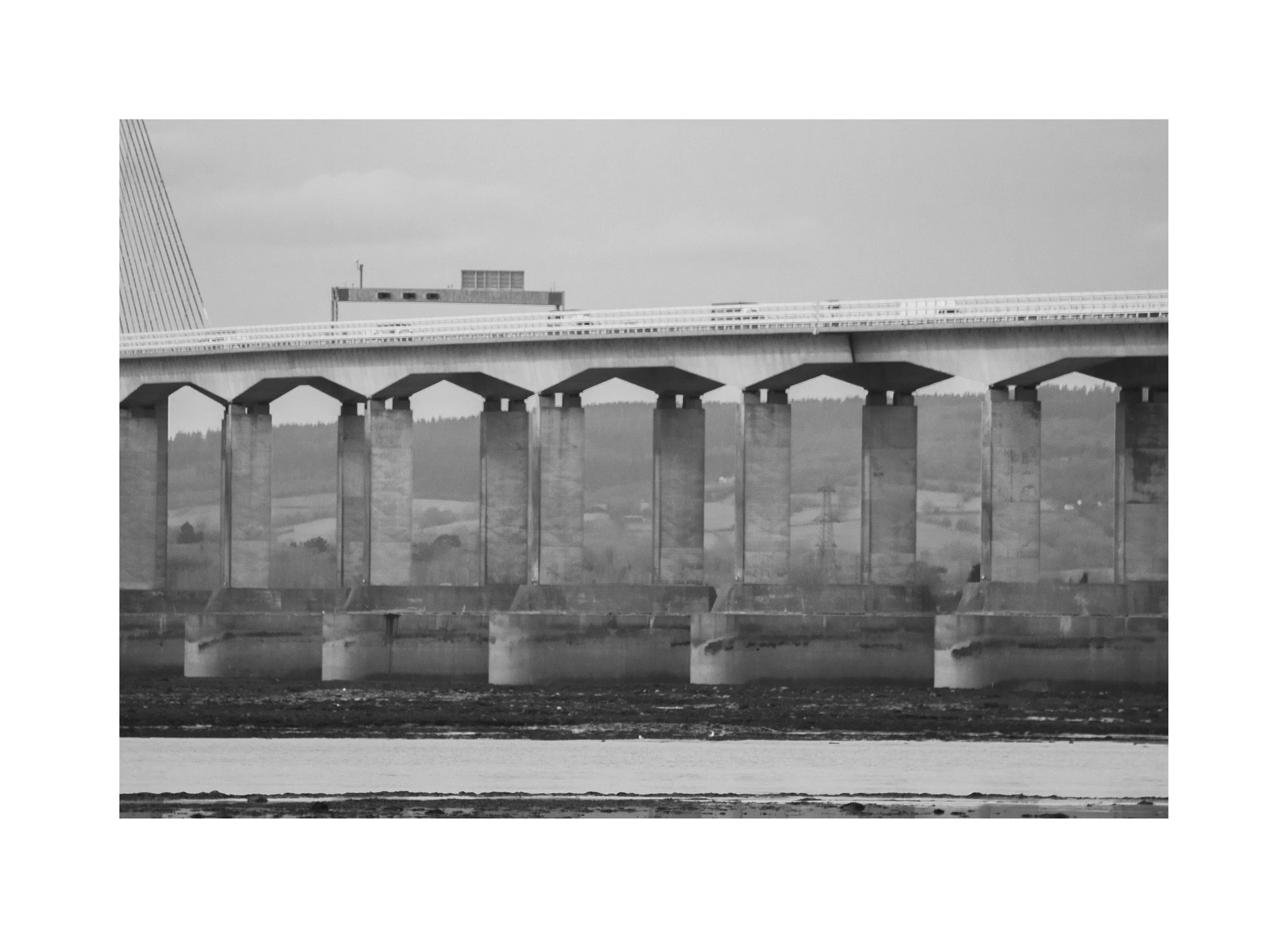 IMG_3838 copy border.jpg
