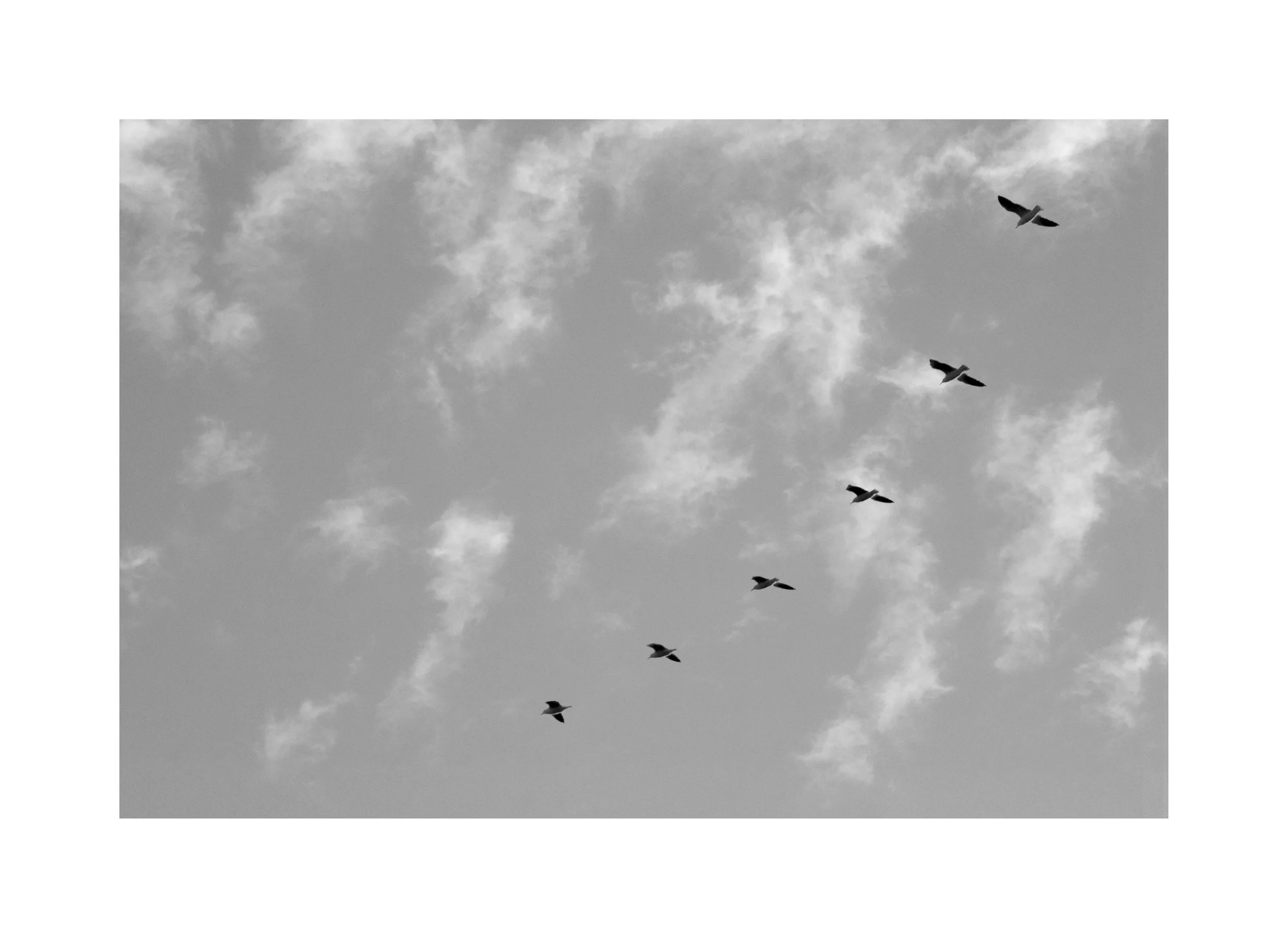 tail 1 minimum copy border.jpg