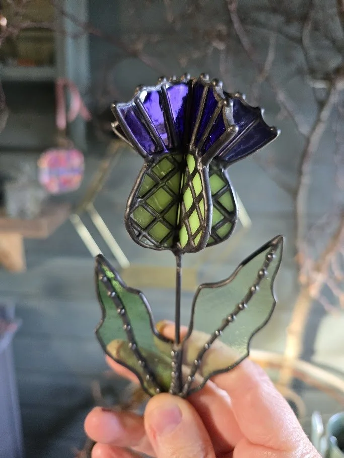 Scottish-stained-glass-thistle-jpg.jpg