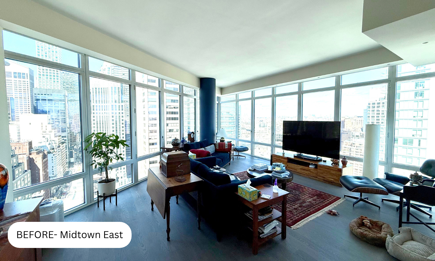 Bright living room with large windows showing city skyline, furnished with a TV, armchairs, a sofa, a coffee table, and a plant.