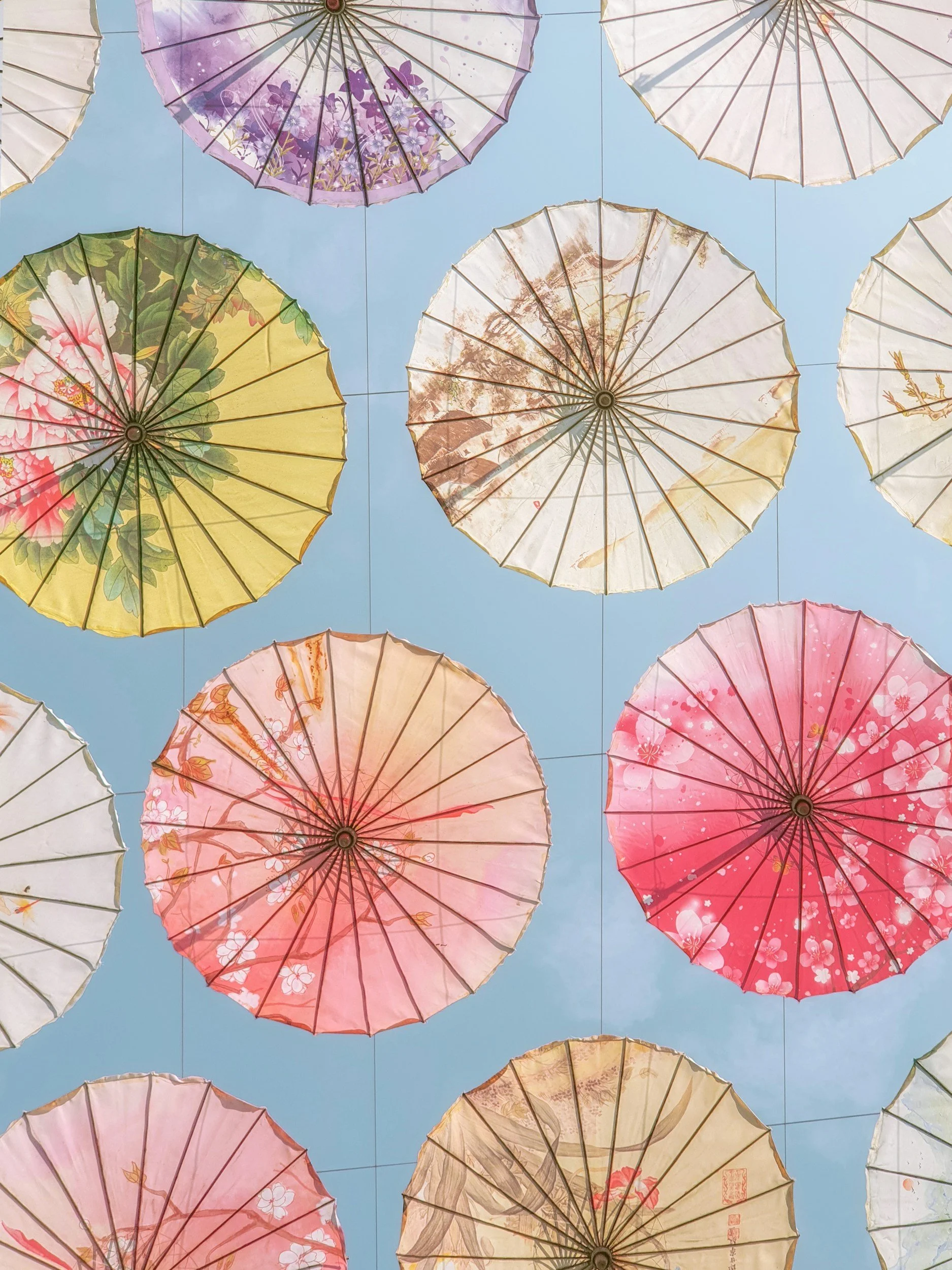 Colored paper umbrellas with floral and nature designs hanging against a blue sky.
