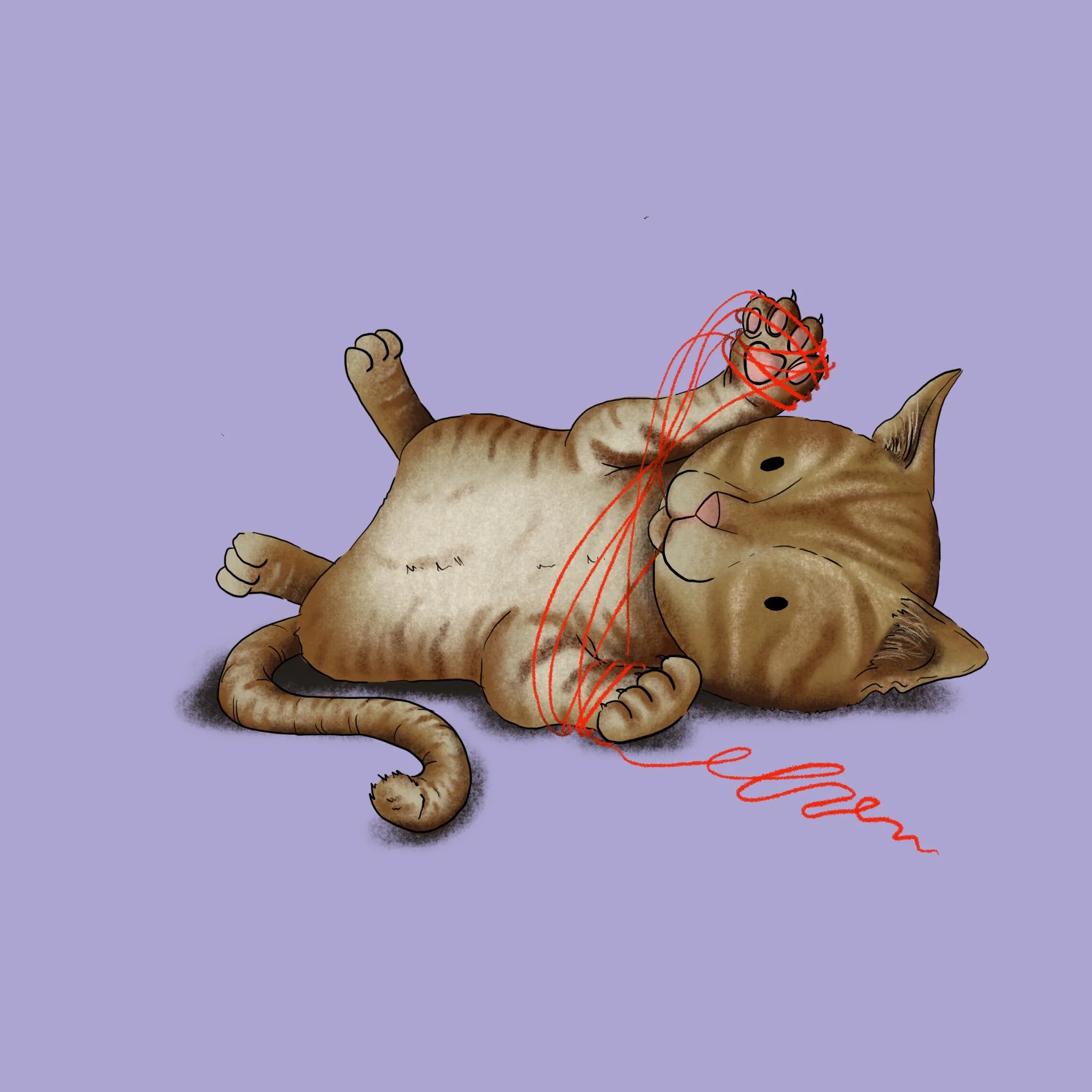 Immagine di un gatto arancione disteso sulla schiena con una zampa sollevata e un'espressione rilassata, con un filo di lana rosso davanti a lui, e uno sfondo viola chiaro.