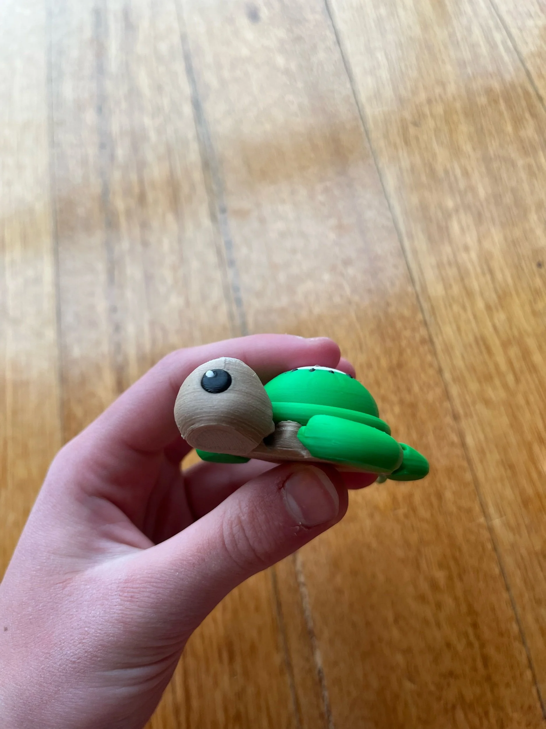 Kiwi Turtle Clicker Keychain