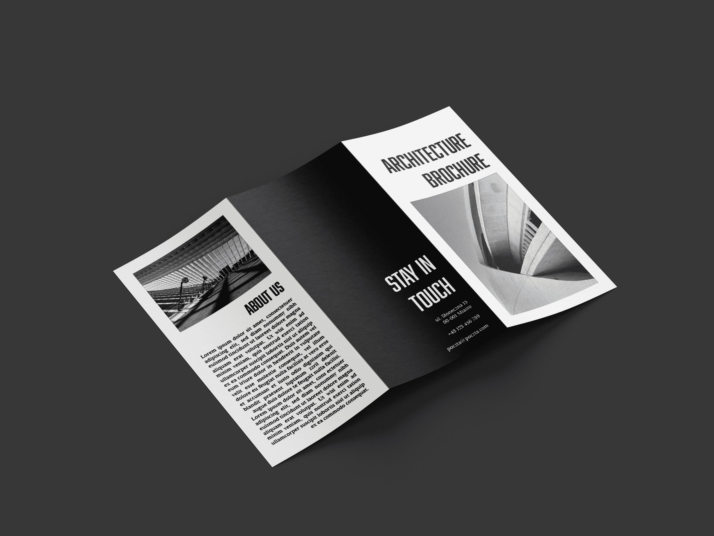 5d01be235573697.68da5dae0d921.png