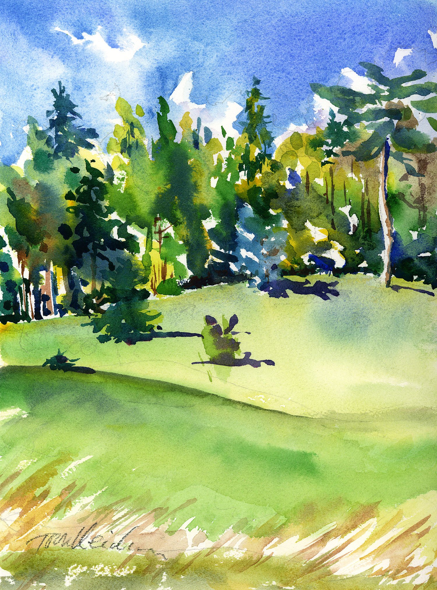  Arboretum Afternoon 
 Watercolor by Tom Menihan  
11” X 15”  
Availability: Sold   