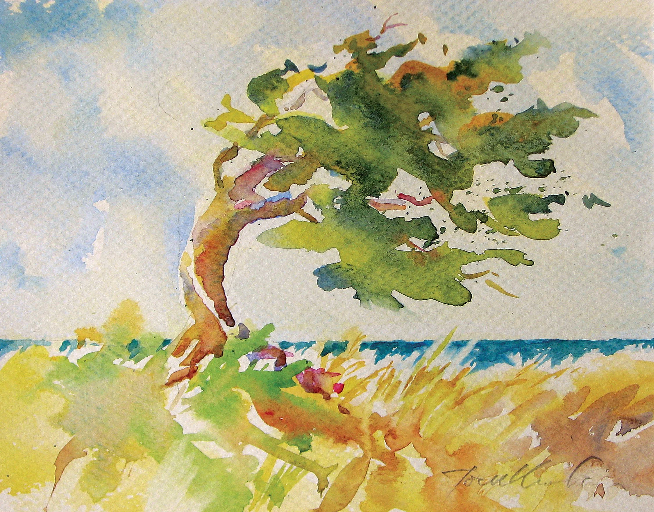  Lignum in de Breeze 
 Watercolor by Tom Menihan  
15” X 11”  
Availability: Sold   