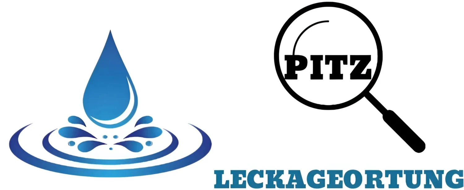 Pitz Leckageortung