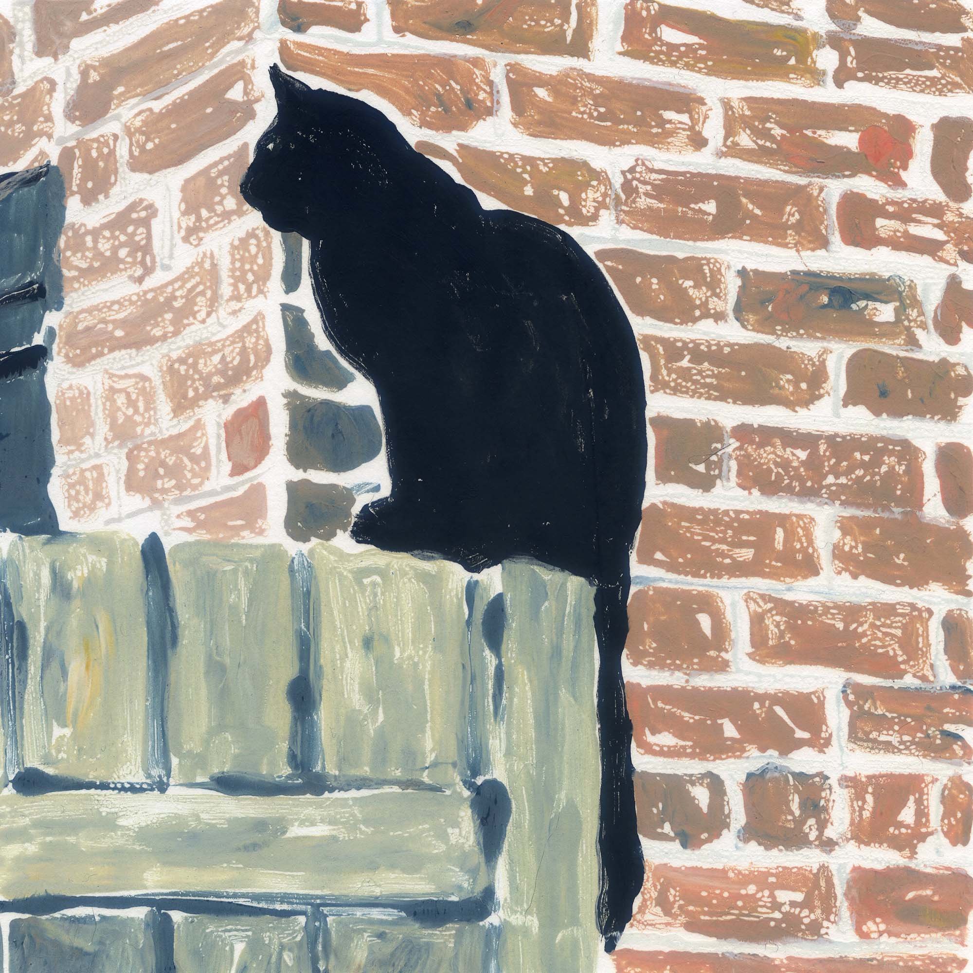 Curious Cat.jpg