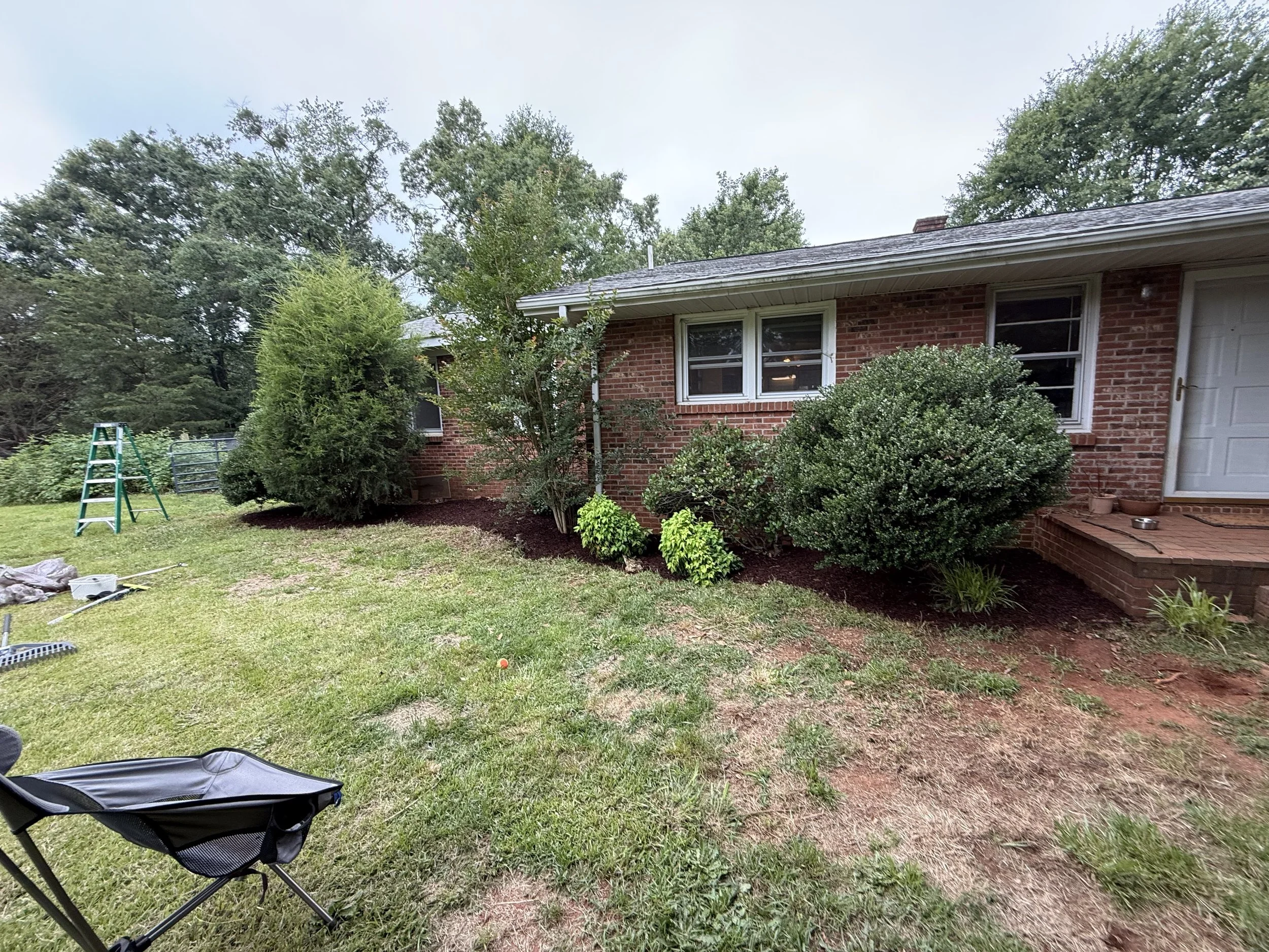 A backyard with a brick house, trimmed bushes, a ladder, and a lawn chair