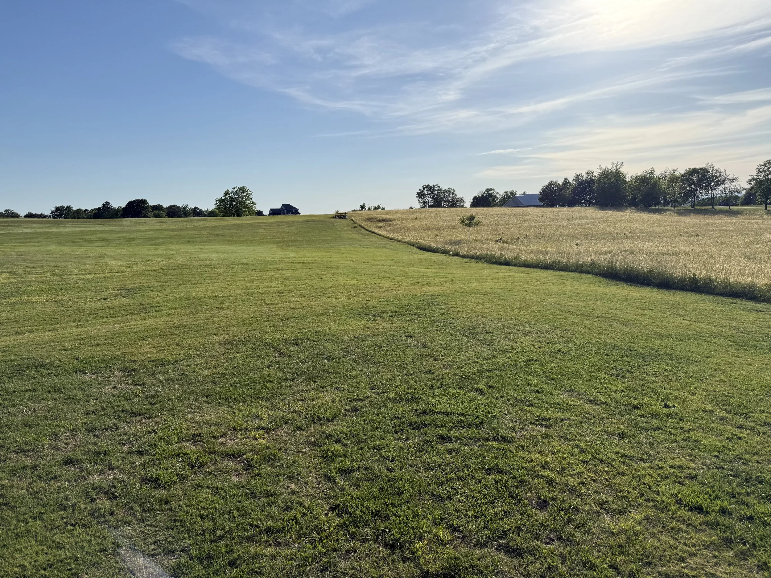 Wide grassy field with trees in the background, blue sky with scattered clouds, and a house on the distant horizon.