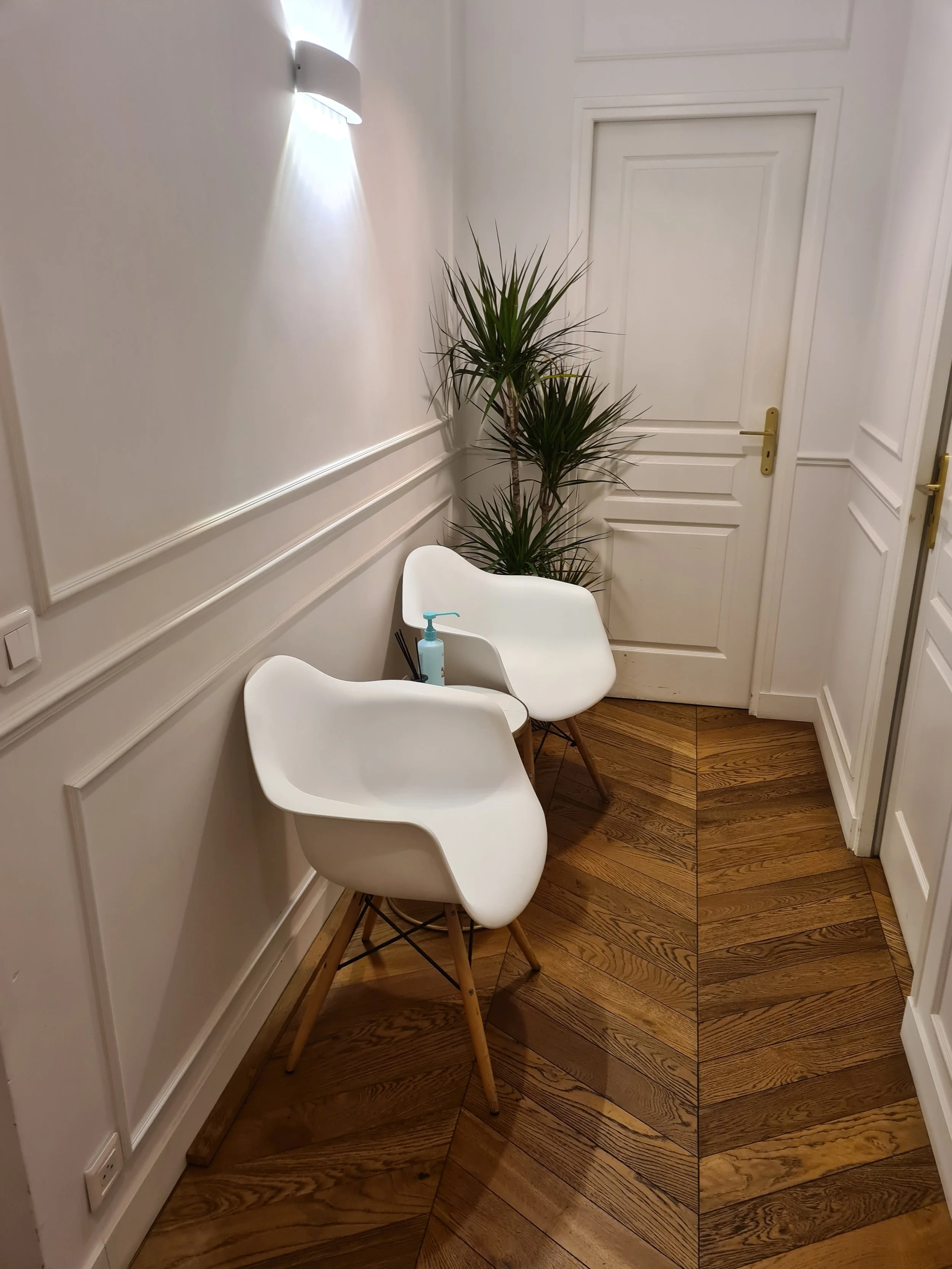 Salle d'attente à la Clinique des Femmes : deux fauteuils et plante verte.
