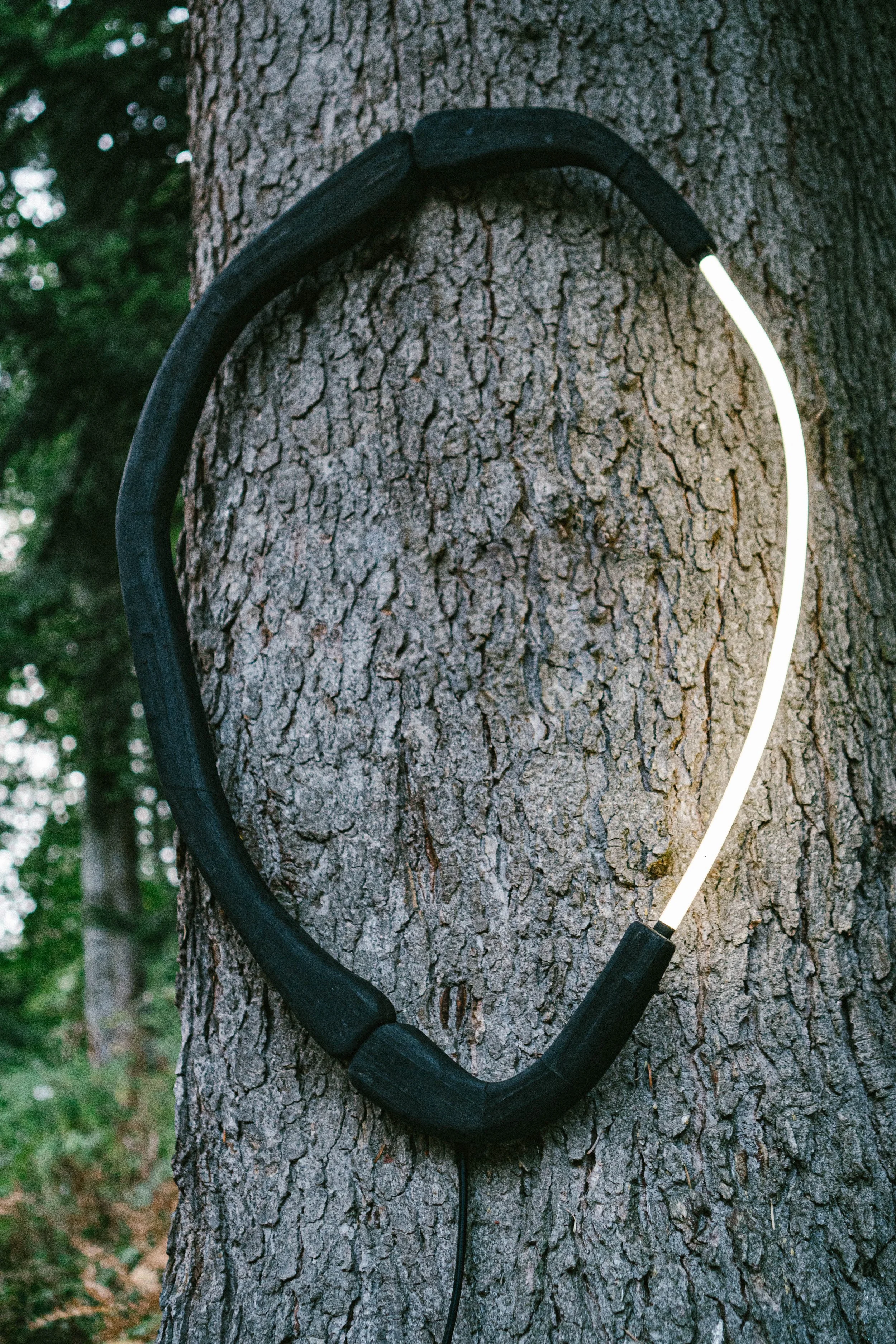Kalem_2.0_Forest_20.08.24 (17 of 48).jpg