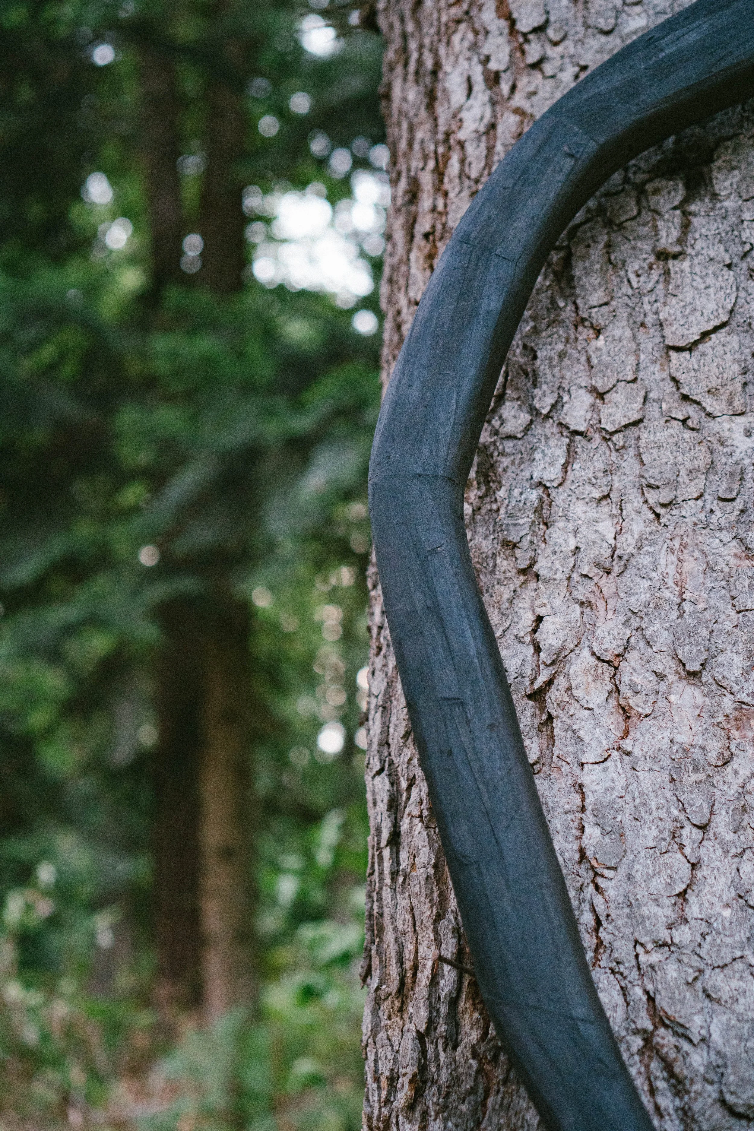 Kalem_2.0_Forest_20.08.24 (32 of 48).jpg