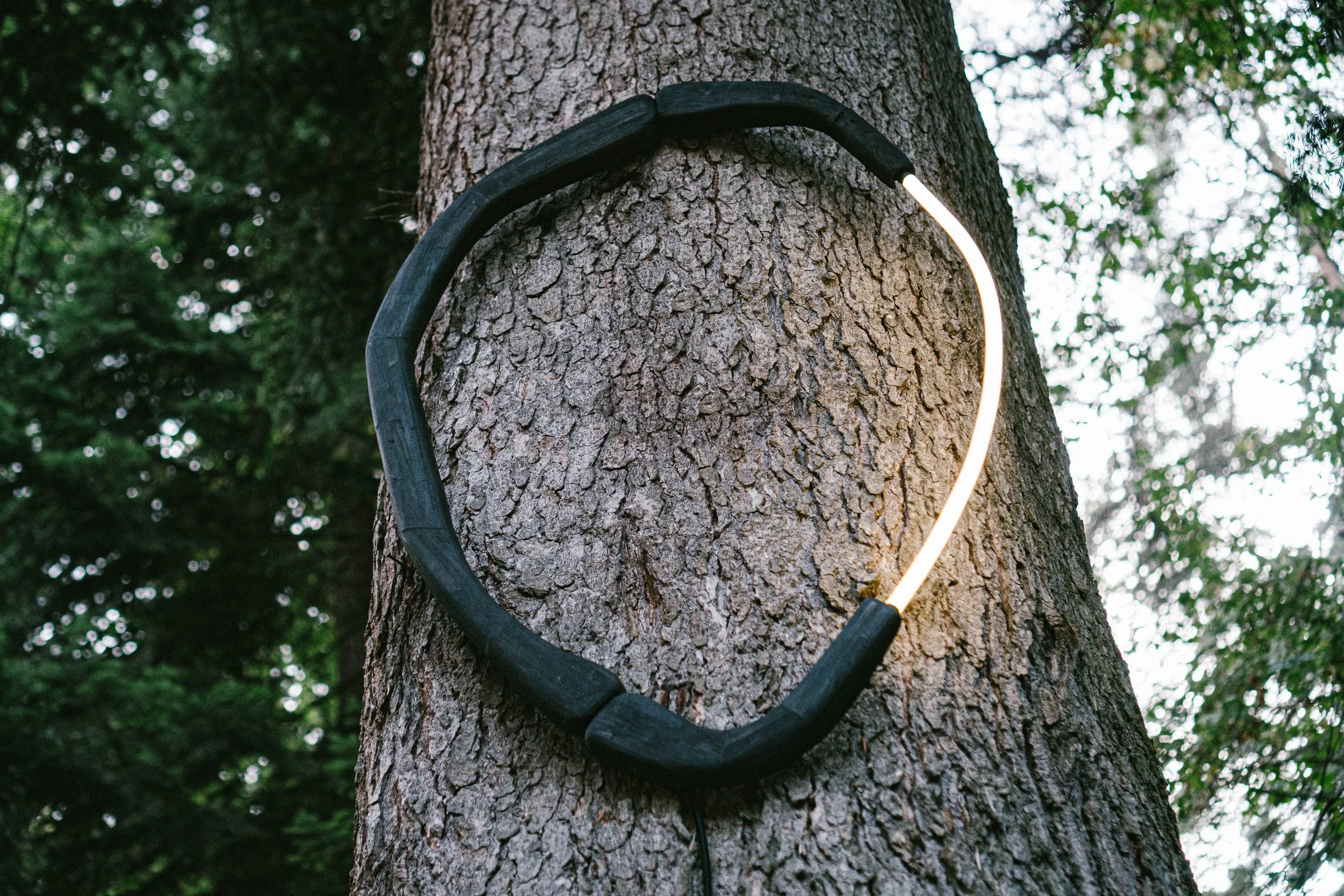 Kalem_2.0_Forest_20.08.24 (20 of 48).jpg