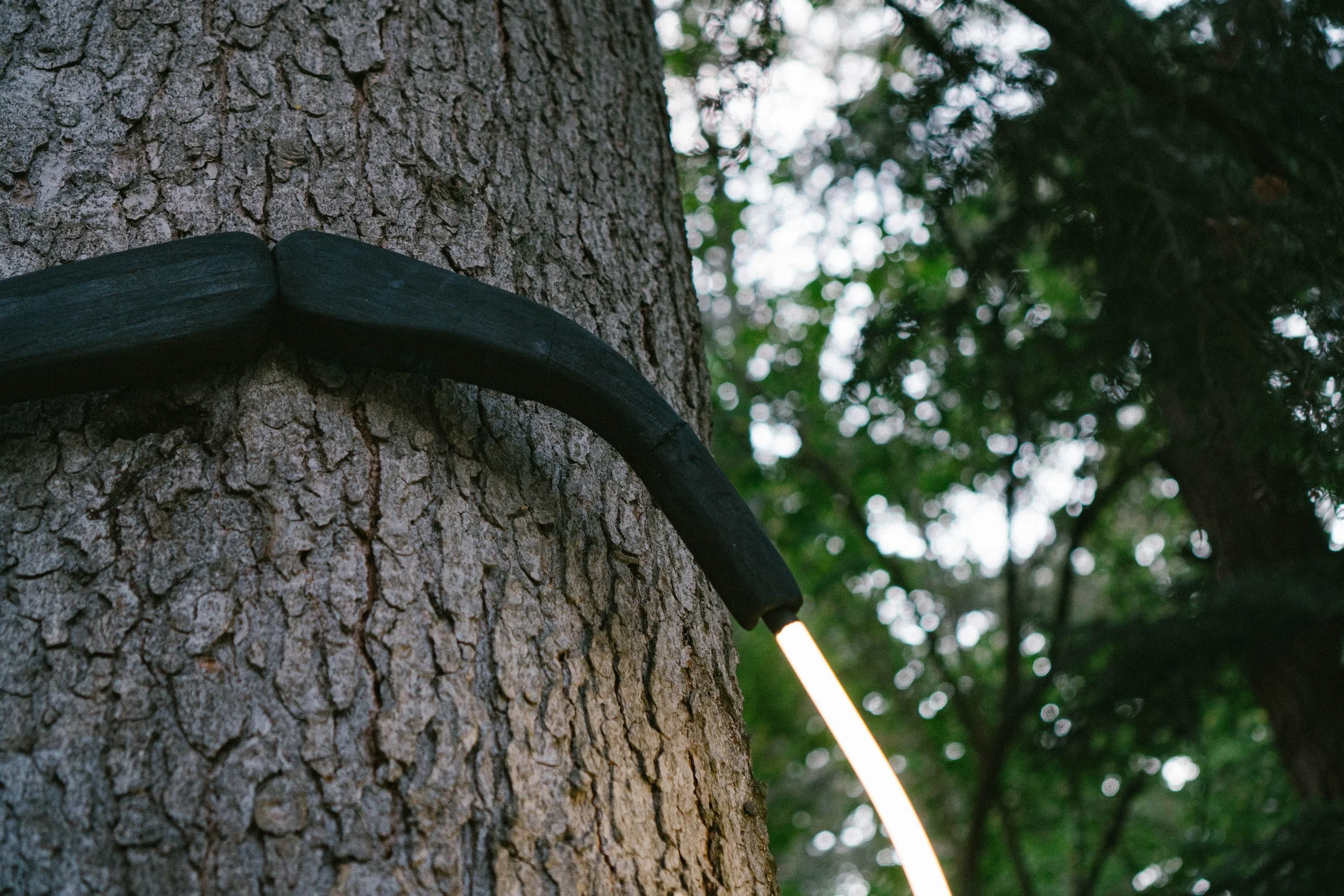 Kalem_2.0_Forest_20.08.24 (33 of 48).jpg