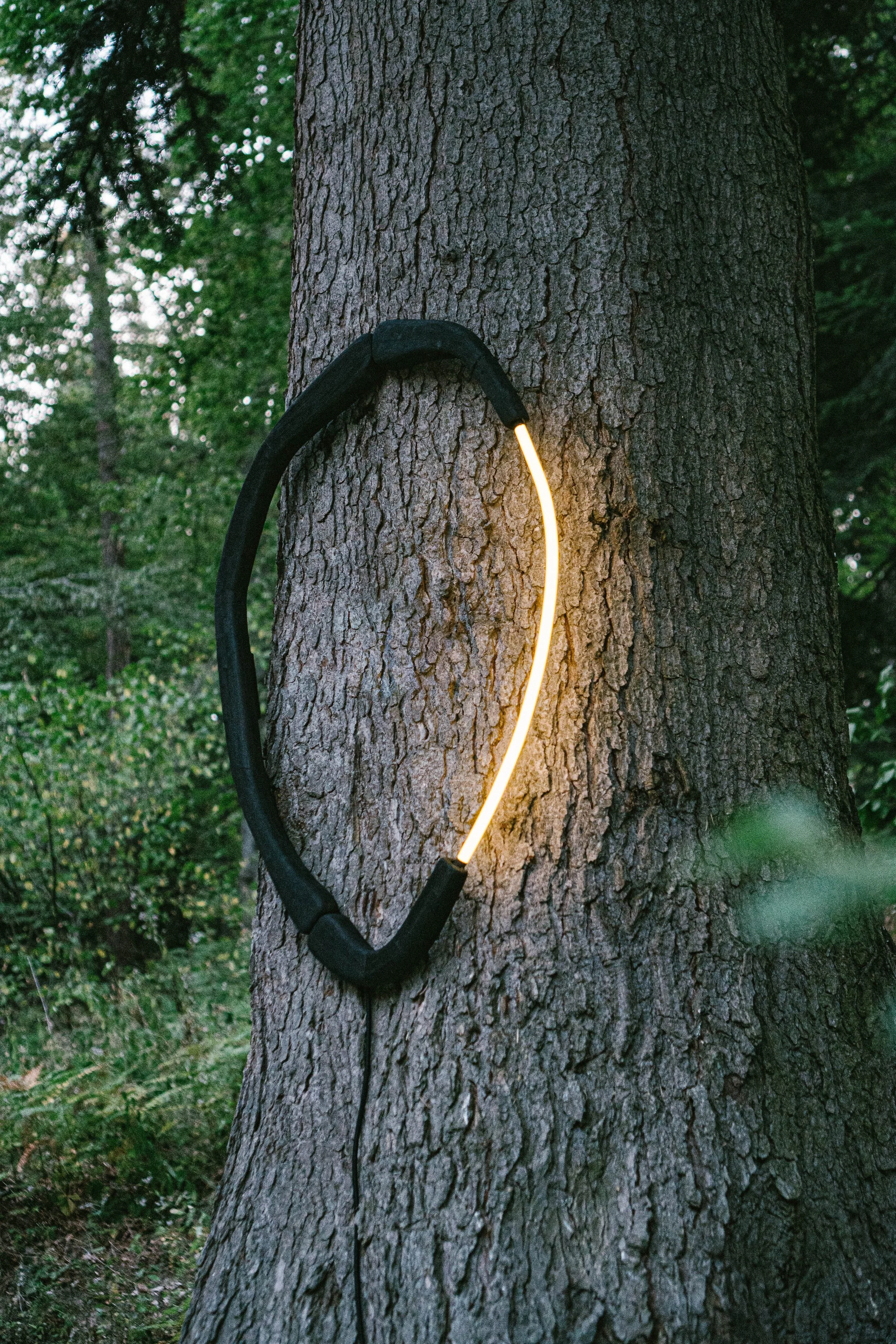 Kalem_2.0_Forest_20.08.24 (44 of 48).jpg