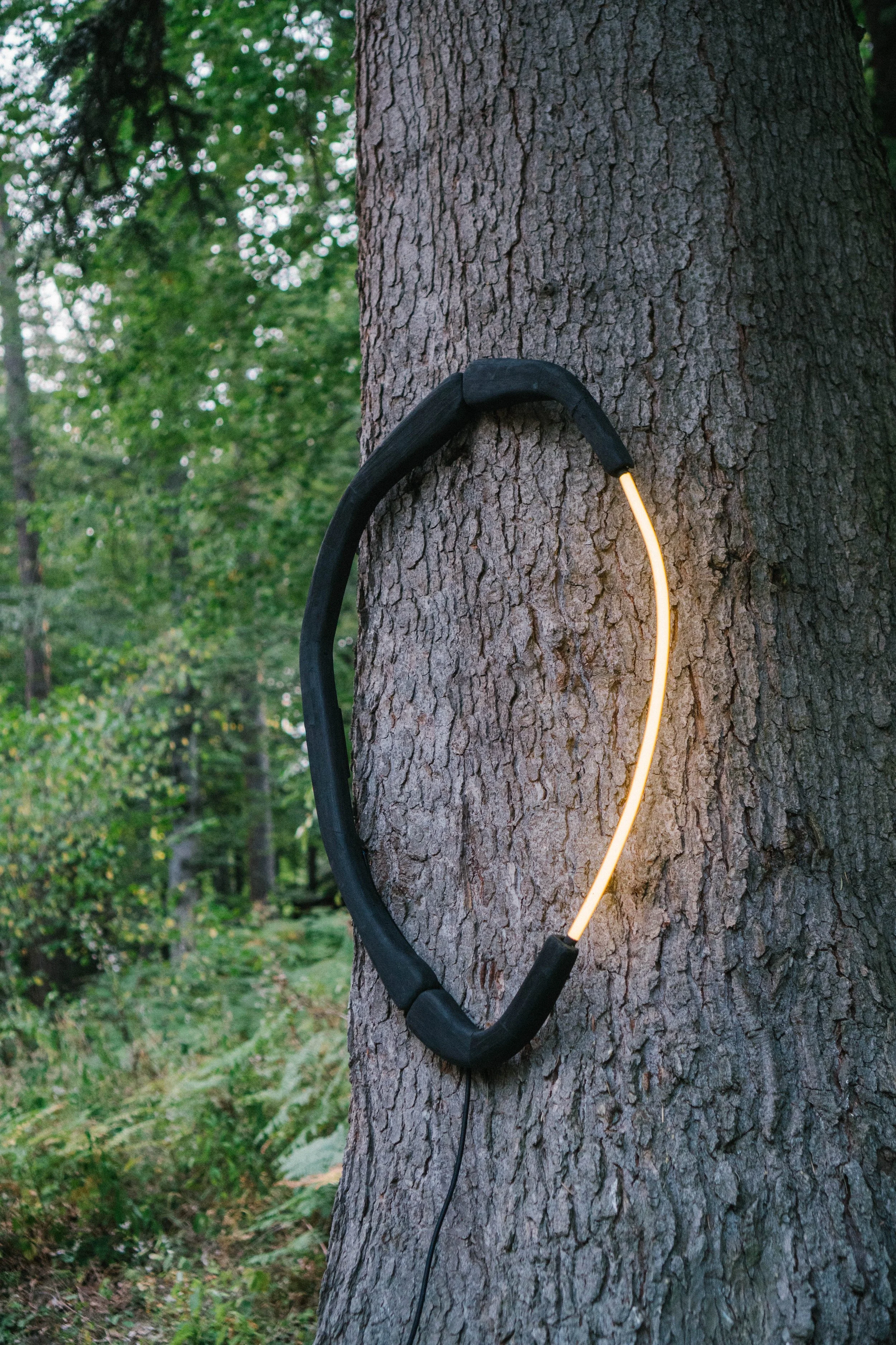 Kalem_2.0_Forest_20.08.24 (2 of 48).jpg