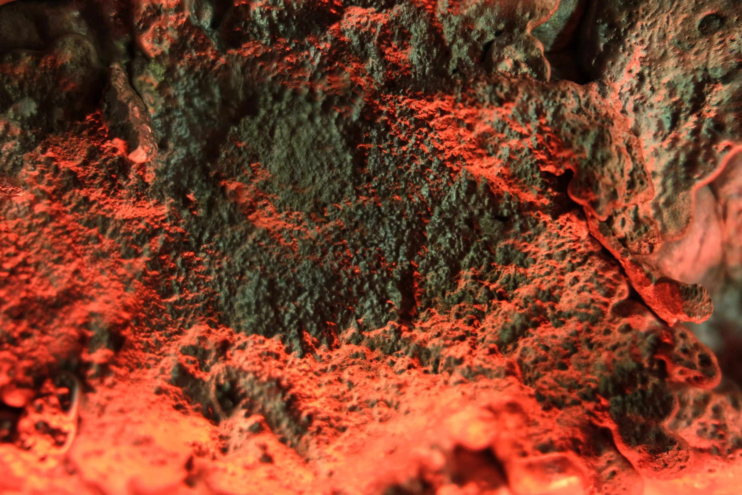 DSCF5206.JPG