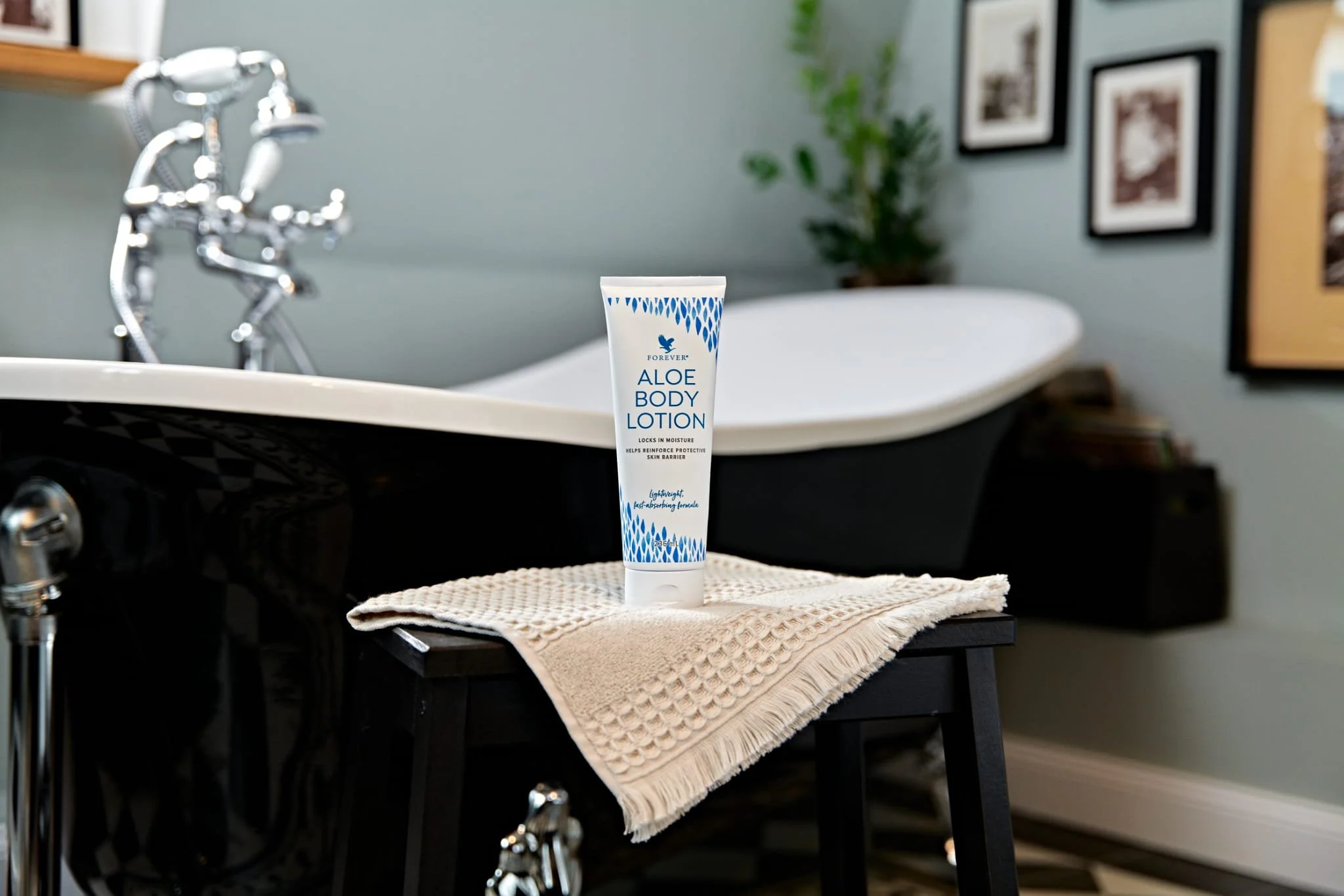 aloe body lotion