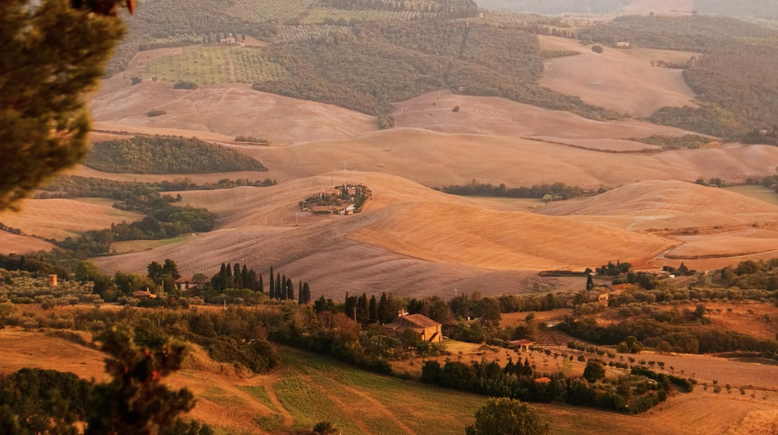 Hills Fallback.jpg