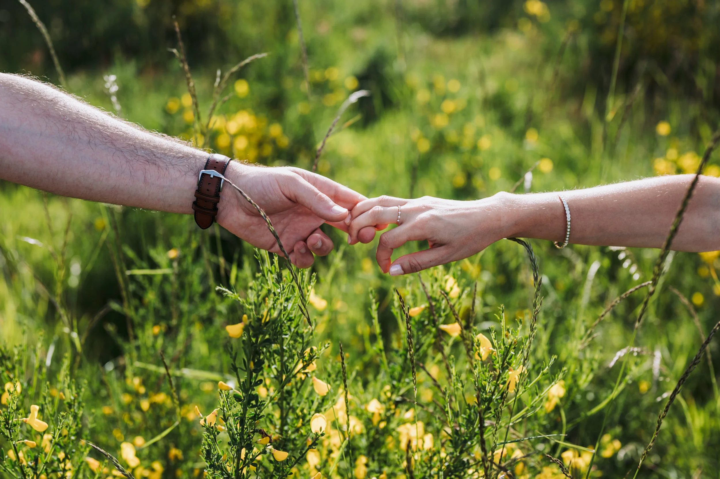 Deux mains se touchent, l'une avec un bracelet en argent et l'autre avec une montre en cuir, dans un champ de fleurs jaunes et d'herbes vertes.