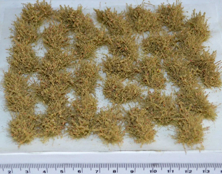 Desert bushes (TM21)