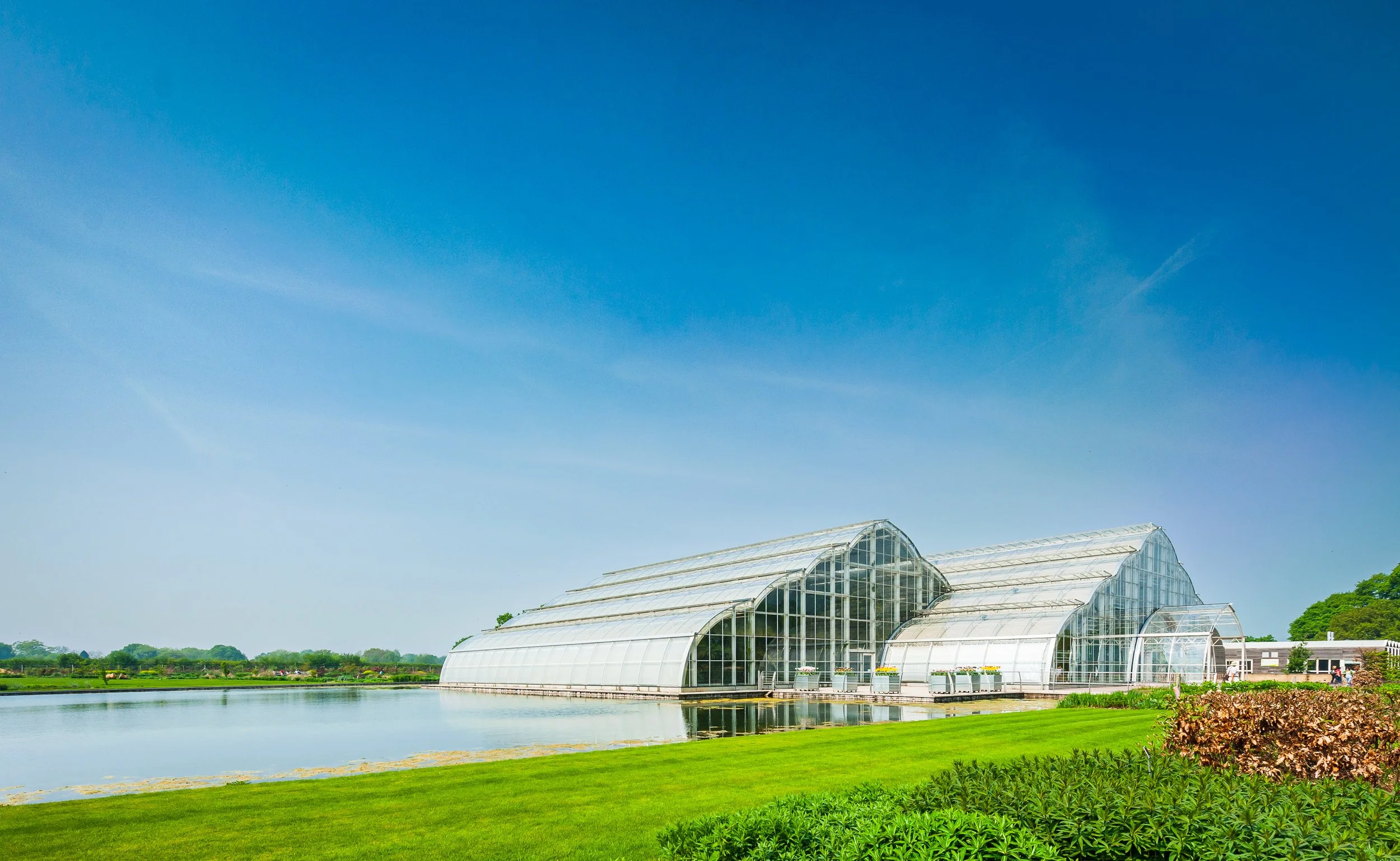 Glass greenhouses beside a lake with lush green grass and trees under a clear blue sky.